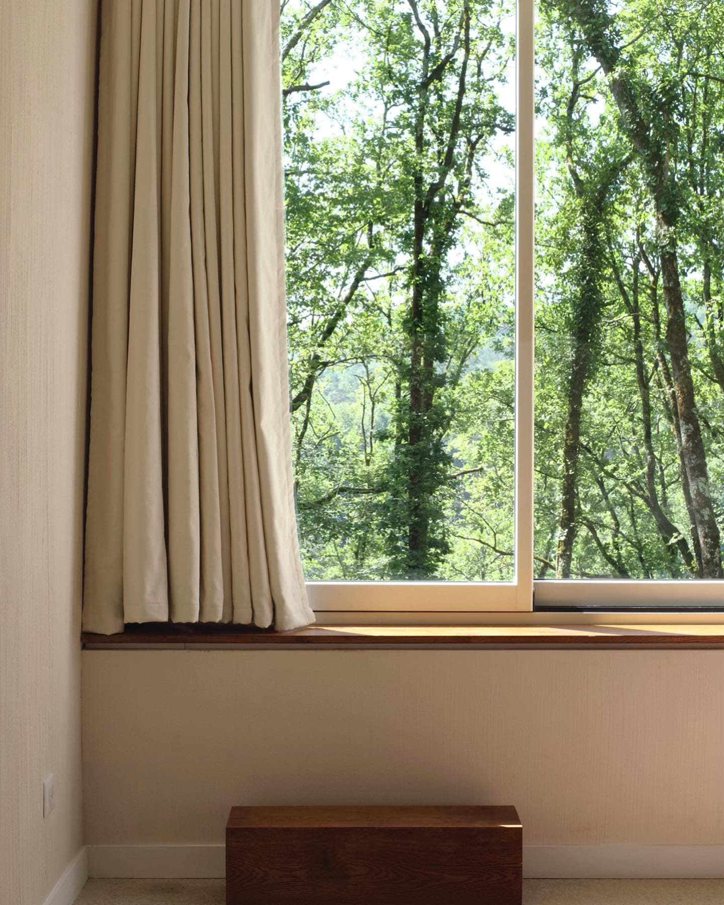 A tranquil scene of a room with beige curtains partially open, revealing a large window with views of lush green trees and sunlight filtering through. A block of wood stands near the window, adding to the serene atmosphere.