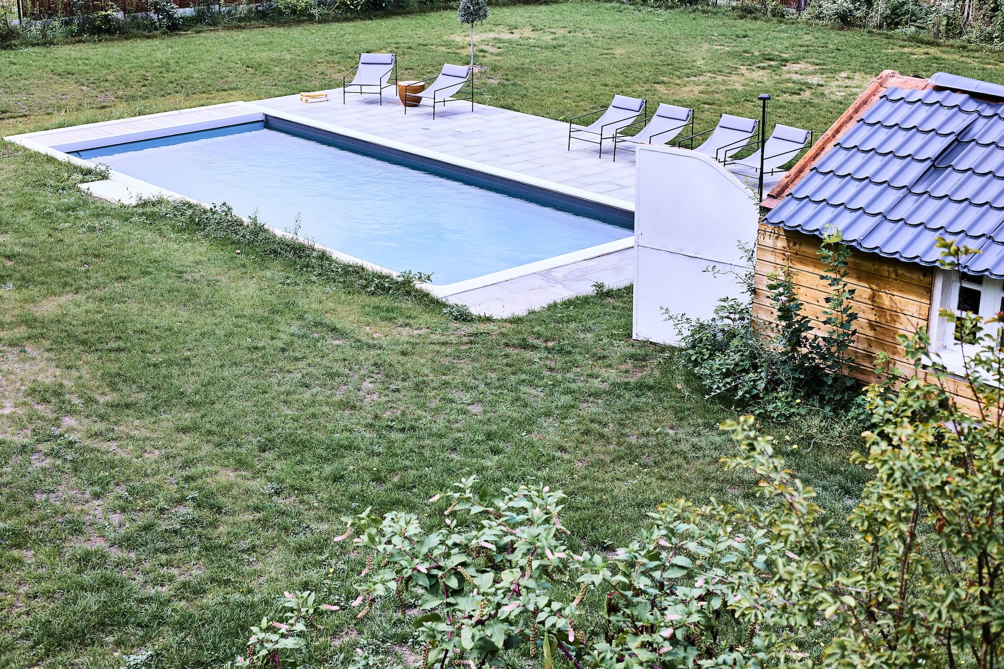 Une cour arrière avec une piscine rectangulaire entourée d'un patio. Il y a plusieurs chaises longues au bord de la piscine. Un petit abri en bois avec un toit en tuiles se trouve à proximité et la zone est bordée d'une pelouse.