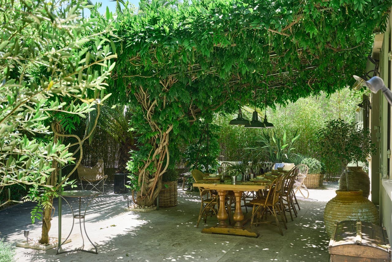 Espace repas extérieur ombragé par des vignes vertes luxuriantes, comprenant une table en bois rustique avec des chaises, accompagnée de vaisselle. Entouré d'un feuillage dense et de plantes en pot, créant une atmosphère sereine et naturelle.