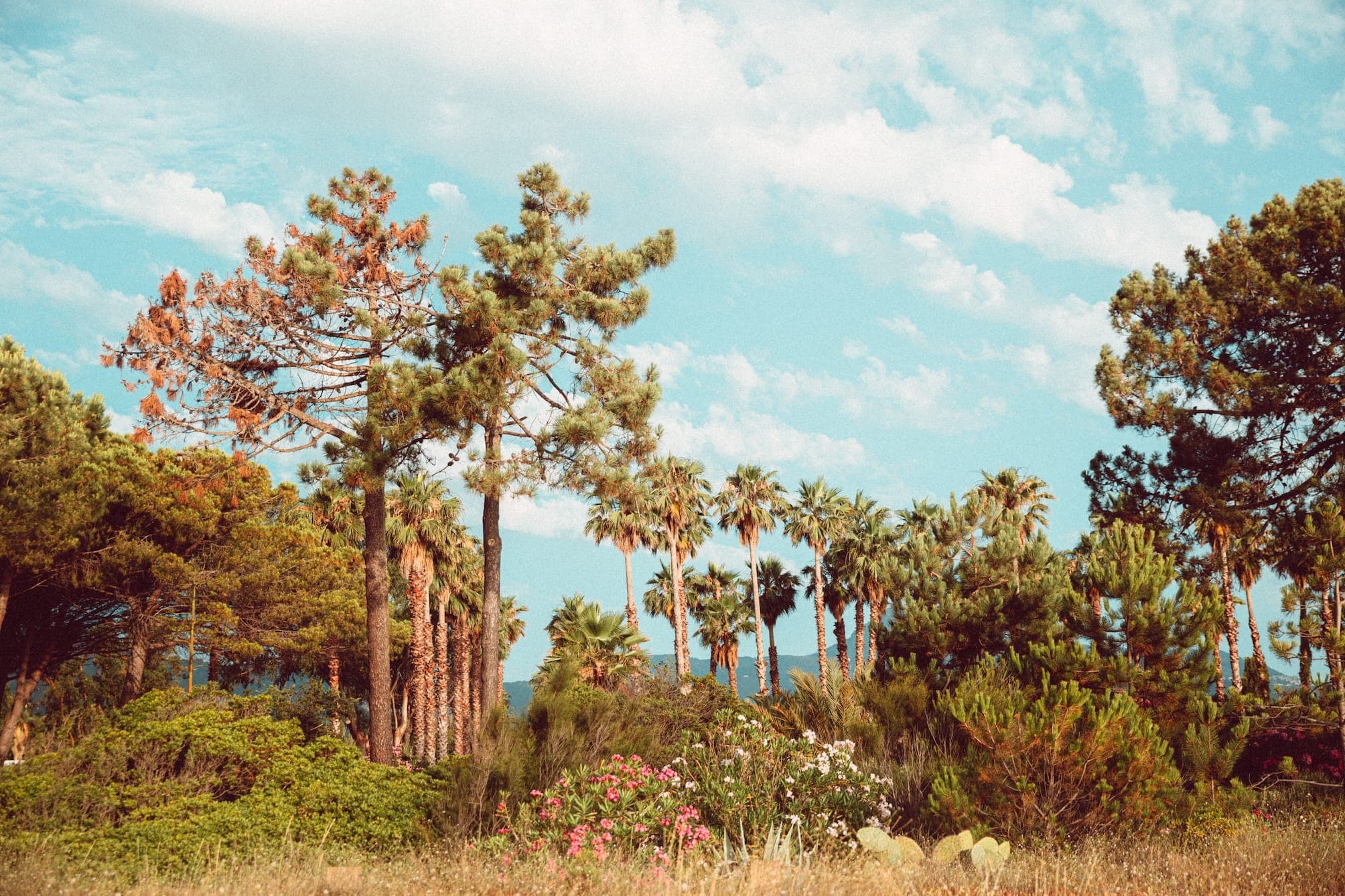 A touch of California vibes at La Vignarella. © Thibaut Dini