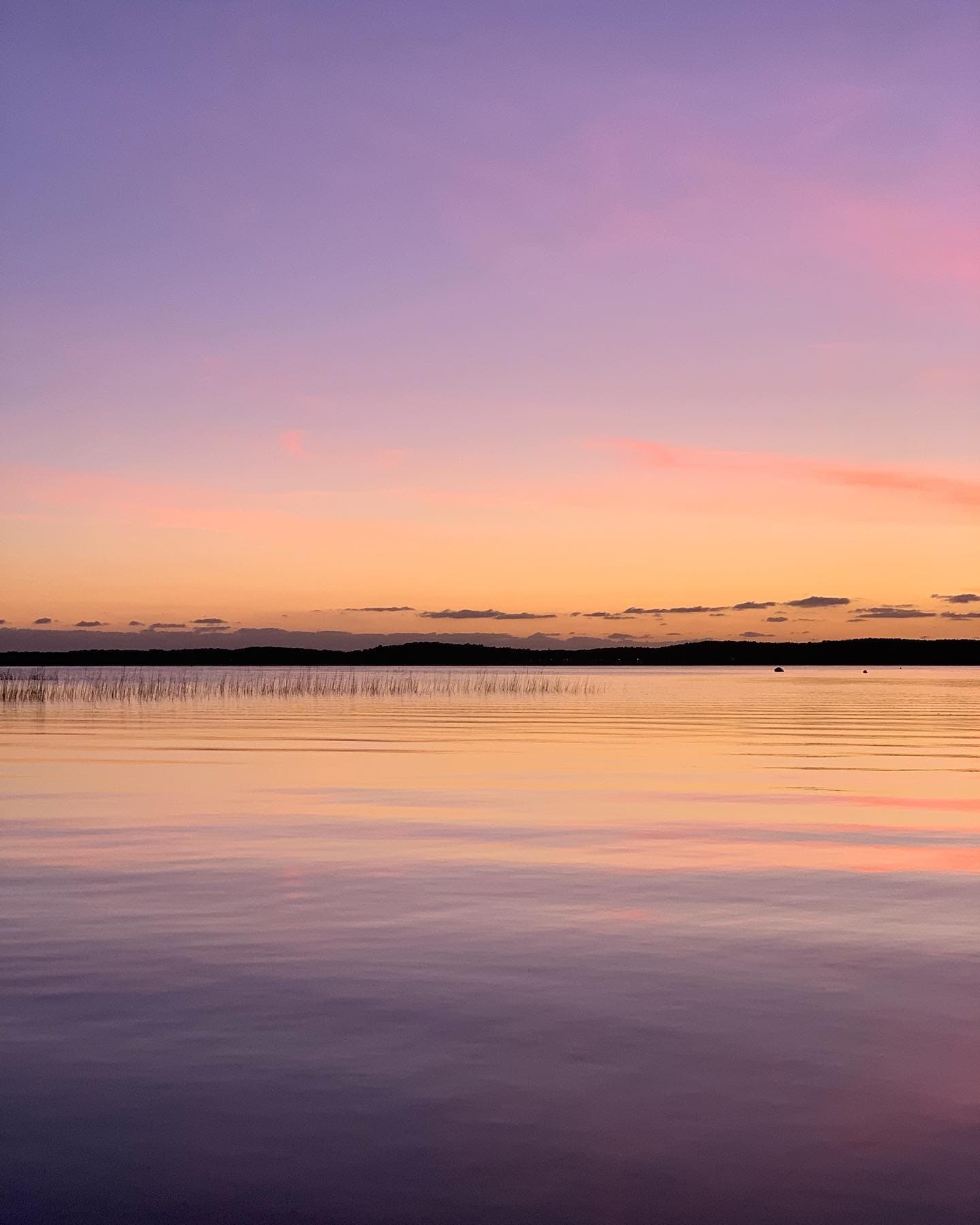 Coucher de soleil sur un lac tranquille avec un ciel dégradé passant de l'orange au violet. L'eau calme reflète les couleurs et une fine ligne de roseaux est visible près de l'horizon.