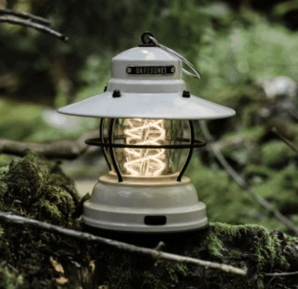 Lanterne beige posée dans un arbre