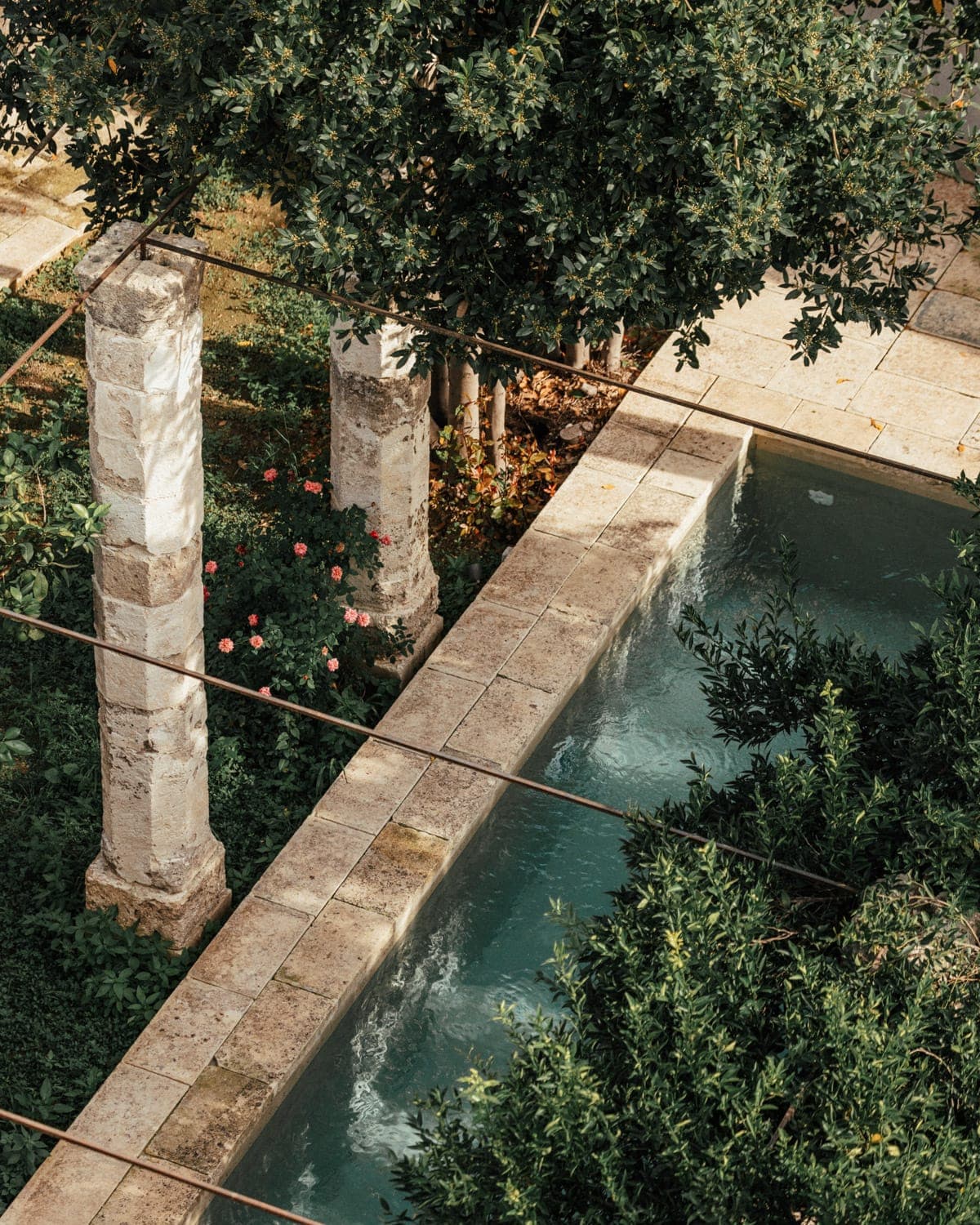 View of a tranquil garden with a rectangular stone pond surrounded by lush vegetation. Two stone pillars are visible near vibrant pink flowers, with overhanging leafy branches providing shade and adding to the serene atmosphere.