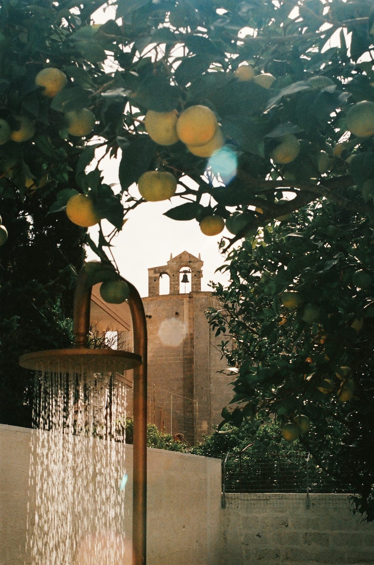 In the courtyard, an outdoor shower beneath the orange trees. © Natali Fsar