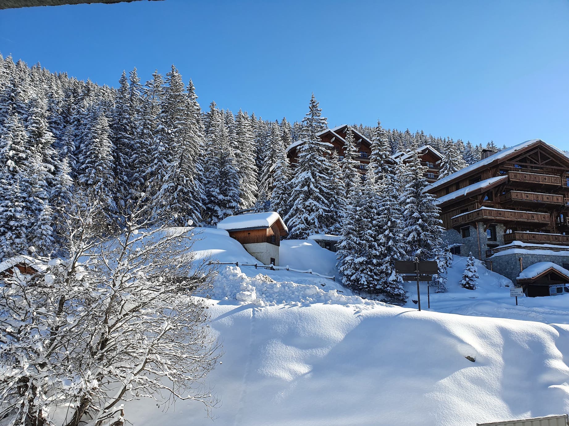 Snow-covered landscape featuring a forest of evergreen trees and several wooden cabins nestled on a hillside. The sky is clear and blue, highlighting the serene winter scene.