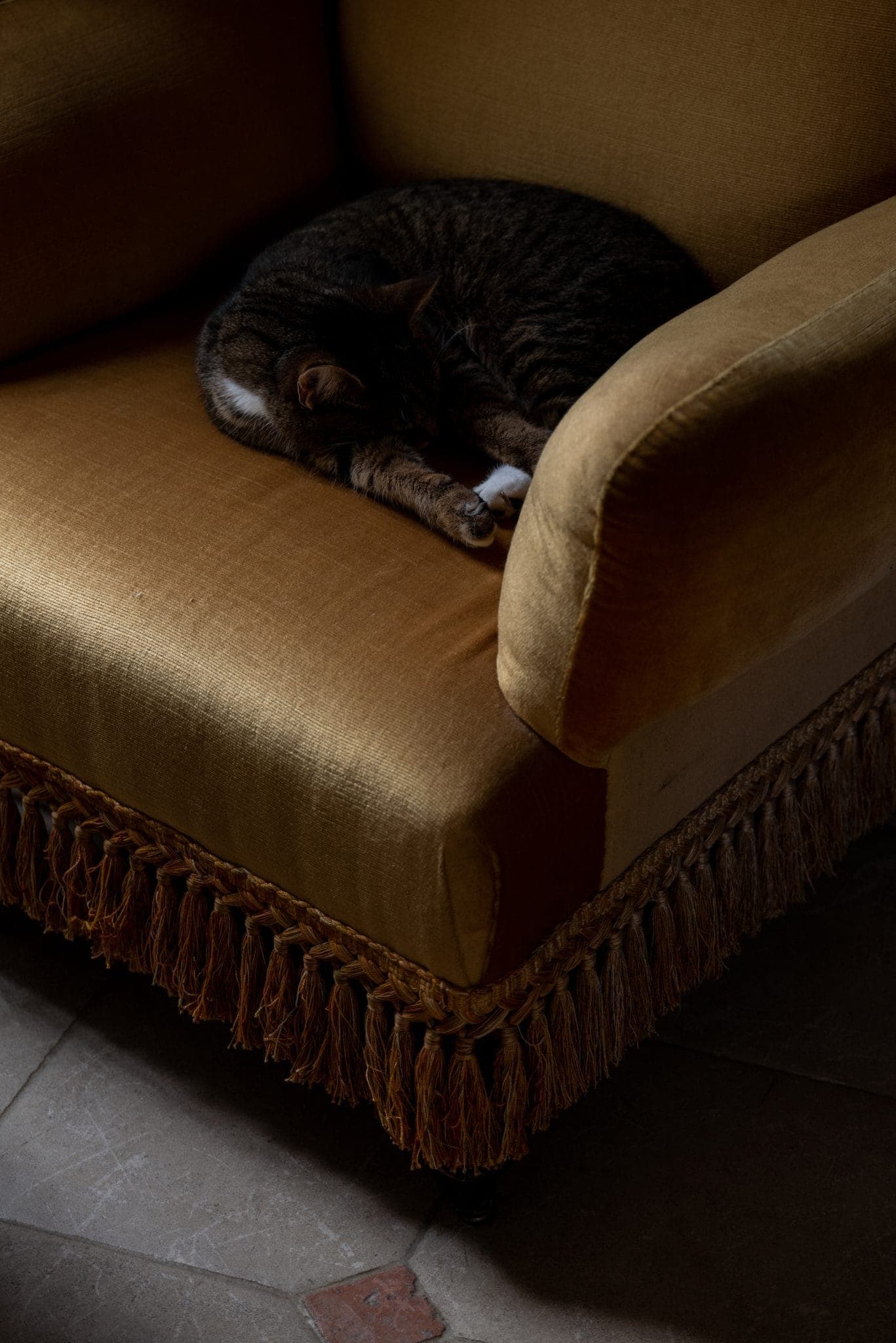 Un chat brun et blanc est recroquevillé et dort sur un fauteuil jaune moutarde. Le fauteuil est orné d'une frange décorative le long du bord inférieur. L'éclairage est doux et projette une ombre sur le sol.