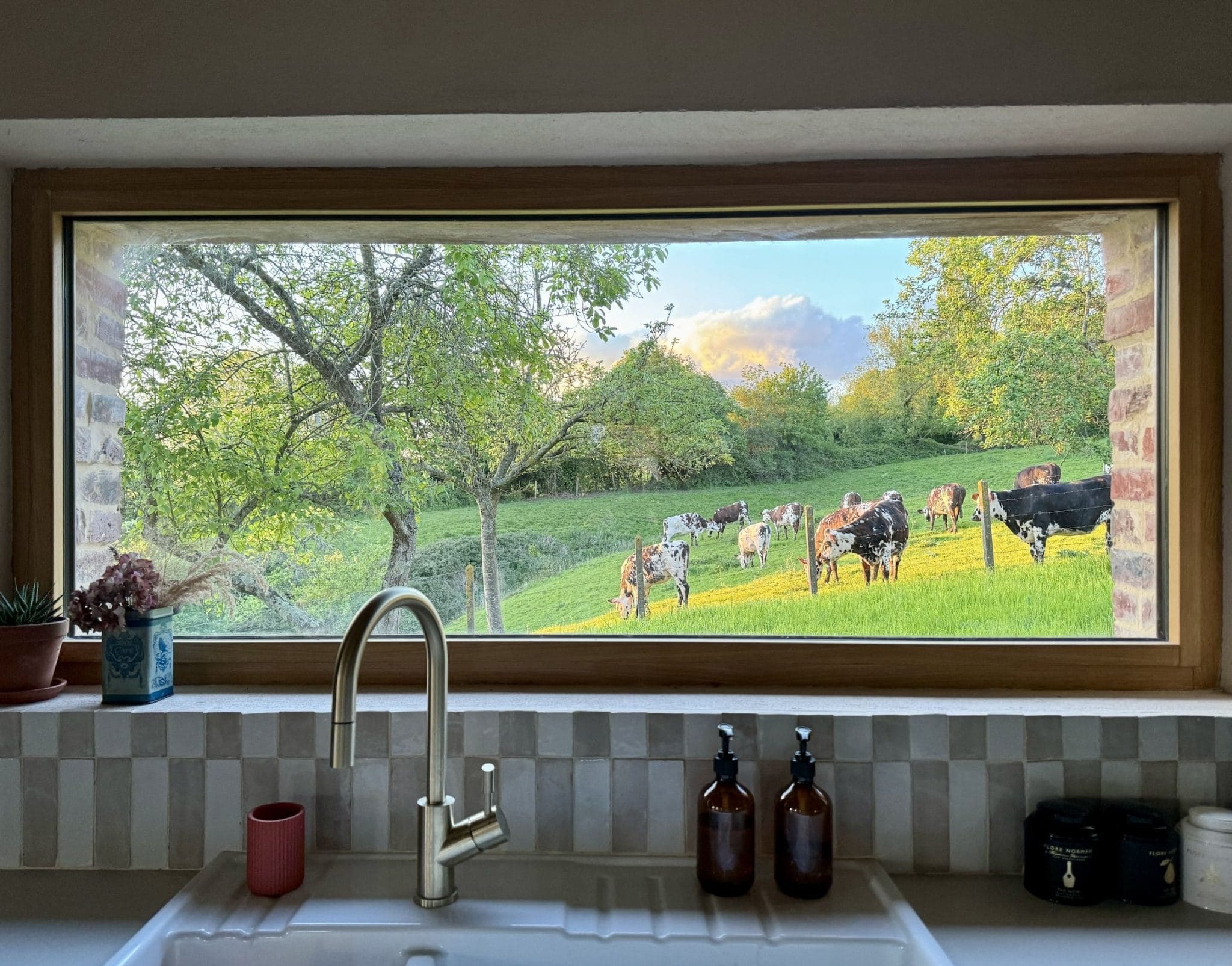 Through a kitchen window, we see a green field with grazing cows. In the foreground, a white sink with a metal tap, potted plants and bottles. In the background, trees and a colorful sky.