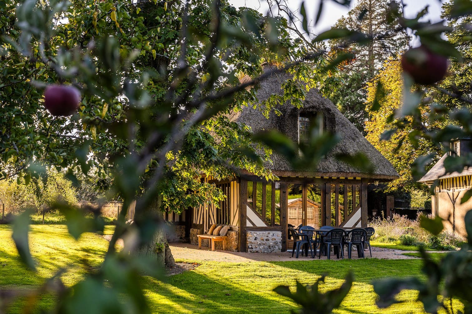 Un cottage pittoresque au toit de chaume est niché au milieu des arbres, avec des pommes suspendues aux branches au premier plan. Des chaises d'extérieur et une table sont placées sur la pelouse, baignées par la douce lumière du soleil.