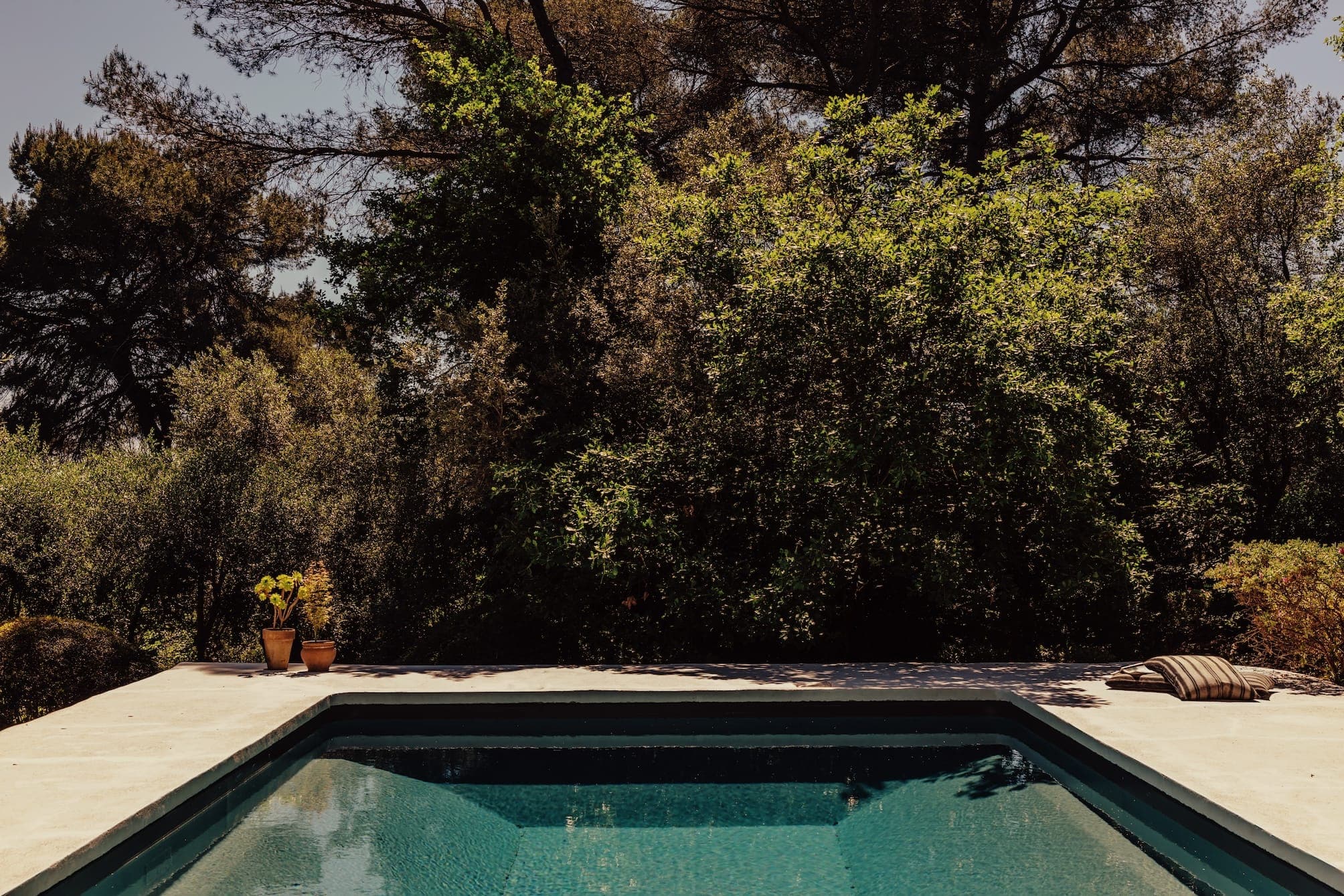 À la Villa Collinette, une petite piscine rectangulaire est nichée devant des arbres denses et ensoleillés. Quelques plantes en pot et un coussin rayé reposent sur le bord en béton du bassin, créant un cadre extérieur paisible.