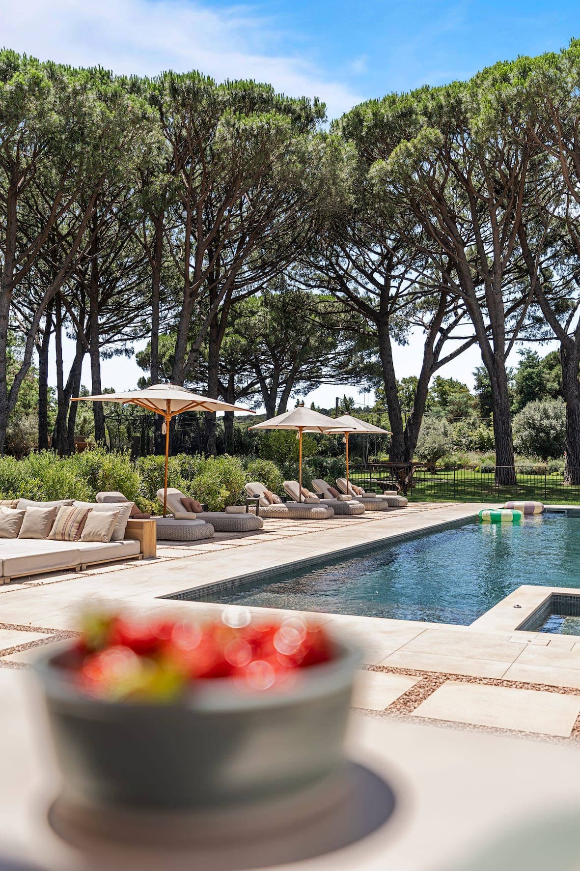 A luxurious outdoor pool area with sun loungers and parasols is surrounded by tall pine trees. In the foreground, a bowl of blurred strawberries adds a touch of color. The scene is peaceful and bathed in sunshine.