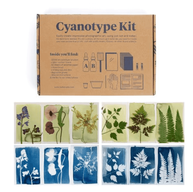 Un coffret de cyanotype avec des illustrations des articles inclus. Sous la boîte se trouvent deux rangées d'impressions cyanotypes représentant diverses plantes et fleurs dans des tons de bleu et de blanc, chacune avec des motifs botaniques uniques.