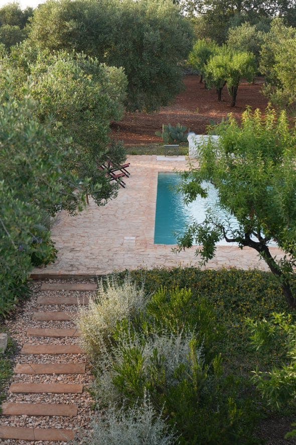 The stone path leading to the pool, nestled between the olive trees.