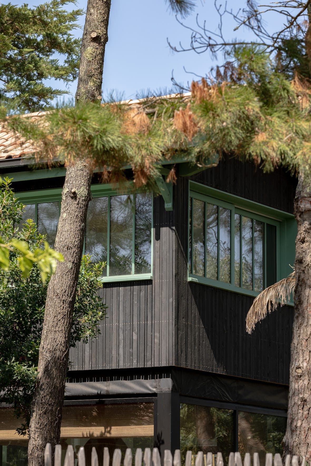 Exterior view of a modern two-storey house with black wood siding and green-framed windows. Surrounded by tall trees, the house features a pitched roof and a fenced-in courtyard. Sunlight filters through the branches, creating a serene atmosphere.