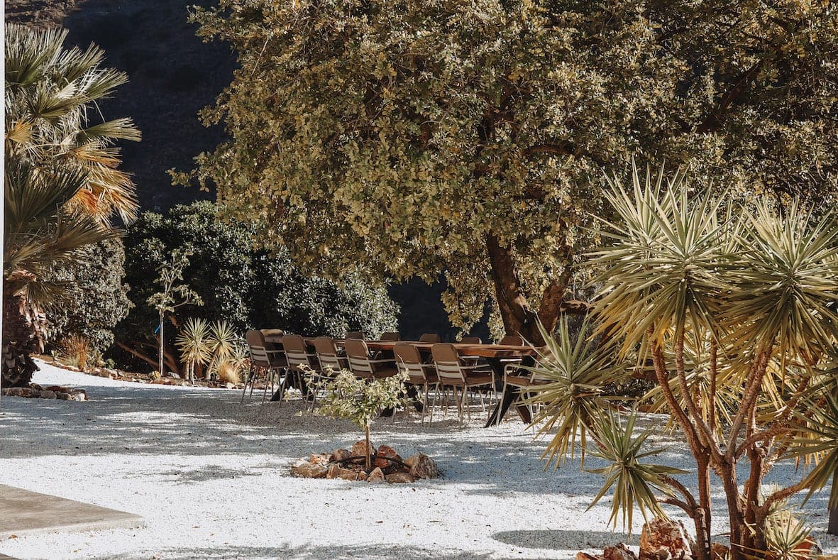 A long outdoor dining table with chairs is set in the shade of a large tree. The space is surrounded by a variety of plants and shrubs, and a gravel path leads to the dining area. Sunlight filters through the branches, creating dappled shadows.