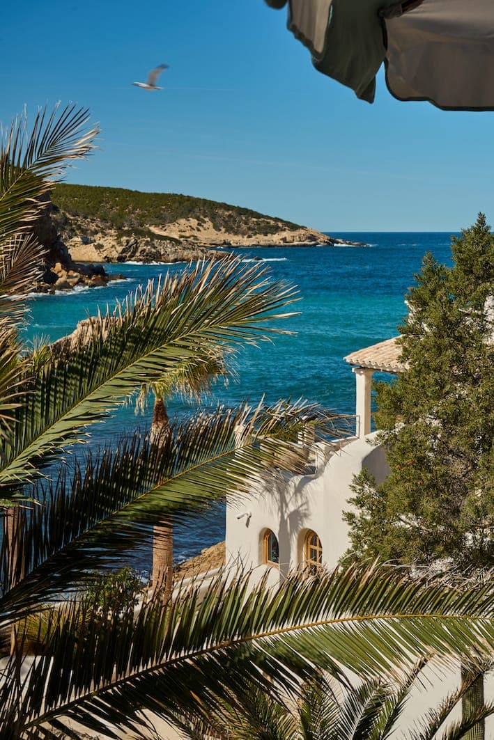 Panoramic view of a coastal landscape with clear blue waters, a white building with arched windows and lush palm trees in the foreground. A seagull flies under a sunny blue sky.