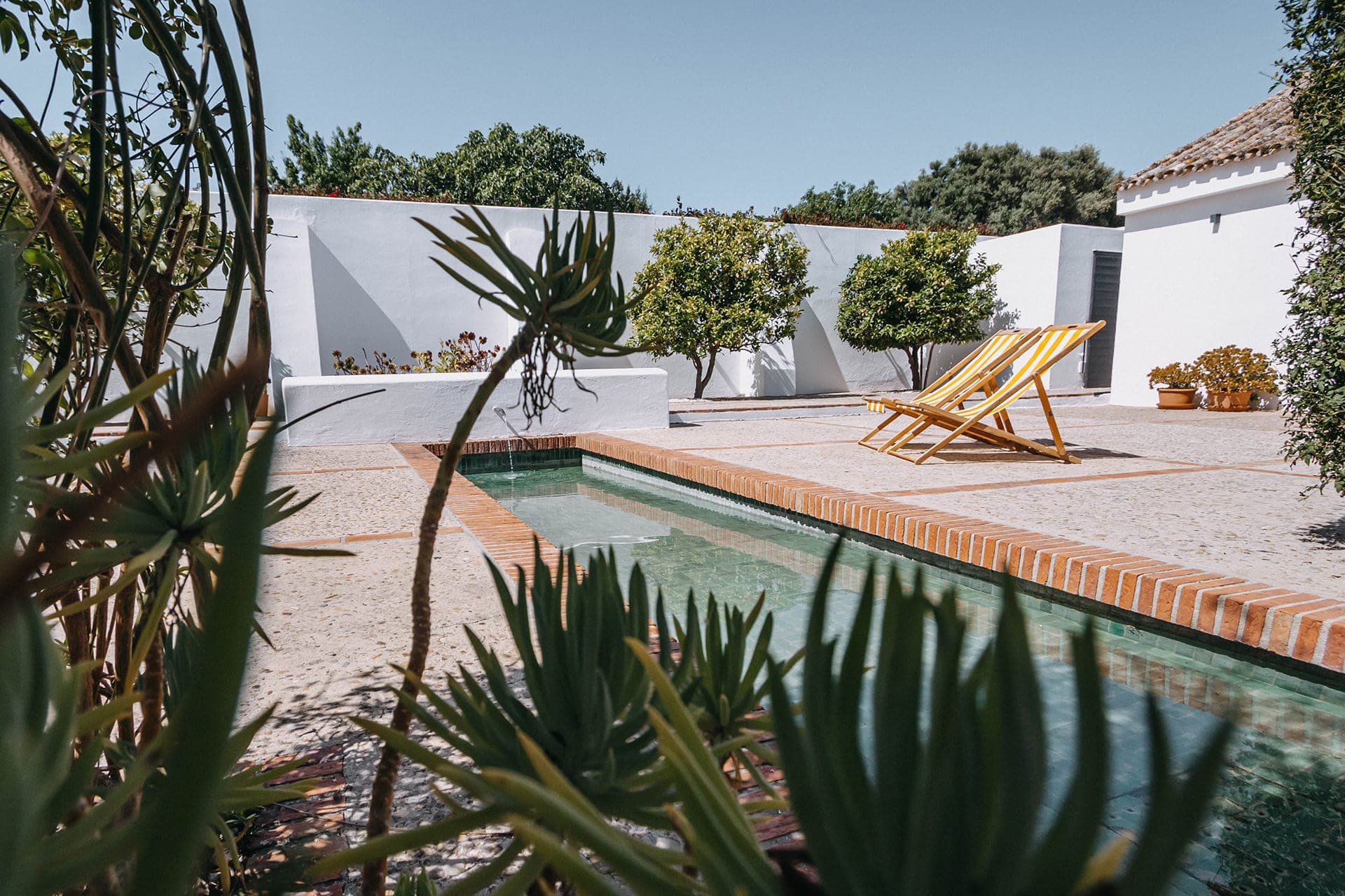 The endlessly long pool at La Casa de Arcos.