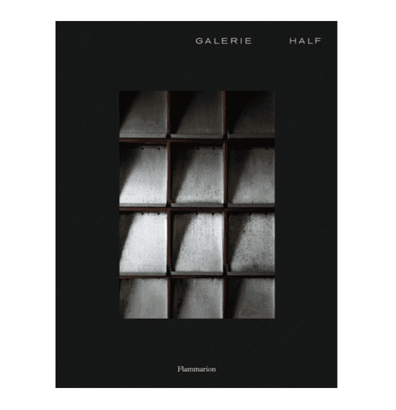 Couverture de livre avec une grille de 12 cases rectangulaires métalliques ombrées au centre. « GALERIE HALF » est inscrit en haut et « Flammarion » en bas sur un fond noir uni.