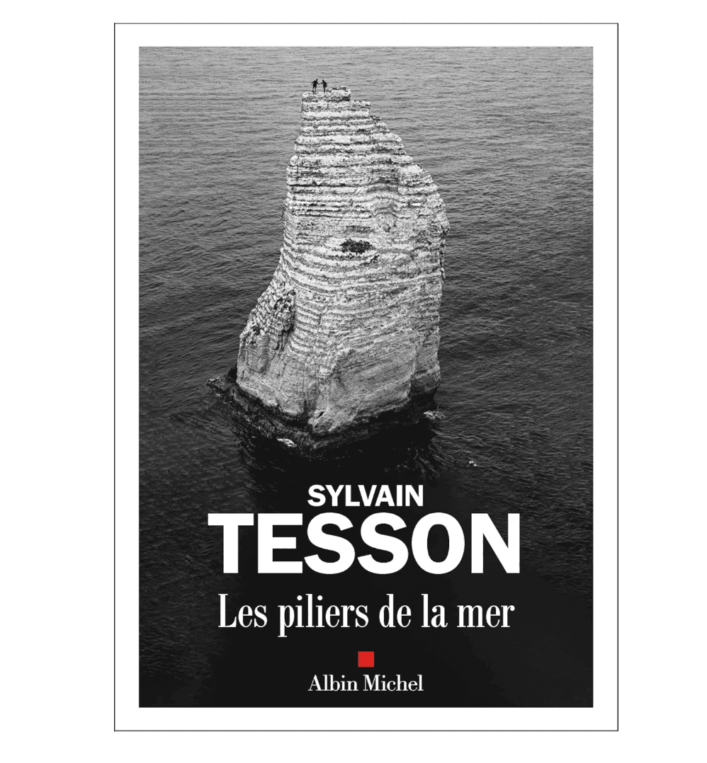 Couverture de livre en noir et blanc représentant une haute pile de pierres déchiquetées s'élevant des eaux calmes de l'océan, avec le titre « SYLVAIN TESSON Les piliers de la mer » et l'éditeur « Albin Michel » en dessous.