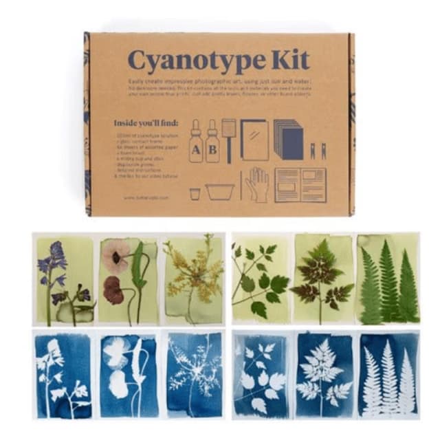Un coffret de cyanotype avec des illustrations des articles inclus. Sous la boîte se trouvent deux rangées d'impressions cyanotypes représentant diverses plantes et fleurs dans des tons de bleu et de blanc, chacune avec des motifs botaniques uniques.