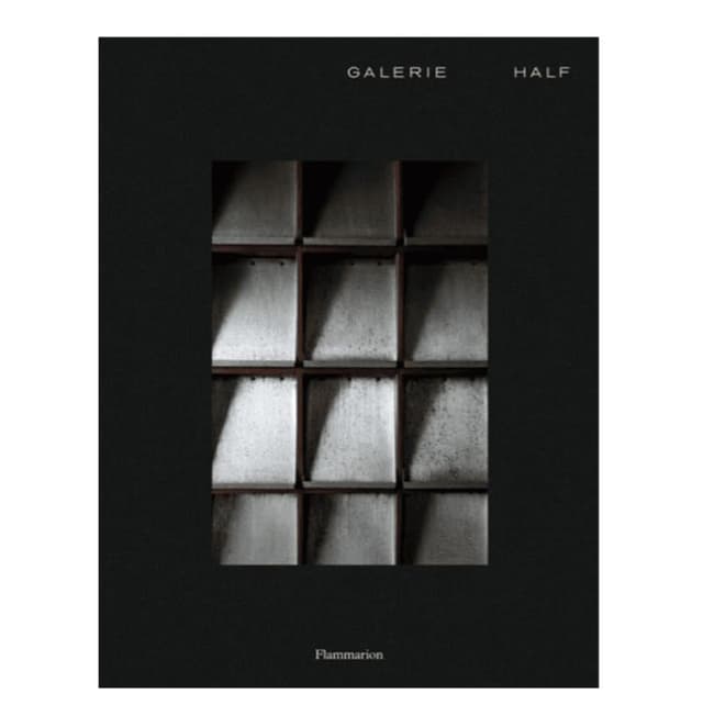 Couverture de livre avec une grille de 12 cases rectangulaires métalliques ombrées au centre. « GALERIE HALF » est inscrit en haut et « Flammarion » en bas sur un fond noir uni.