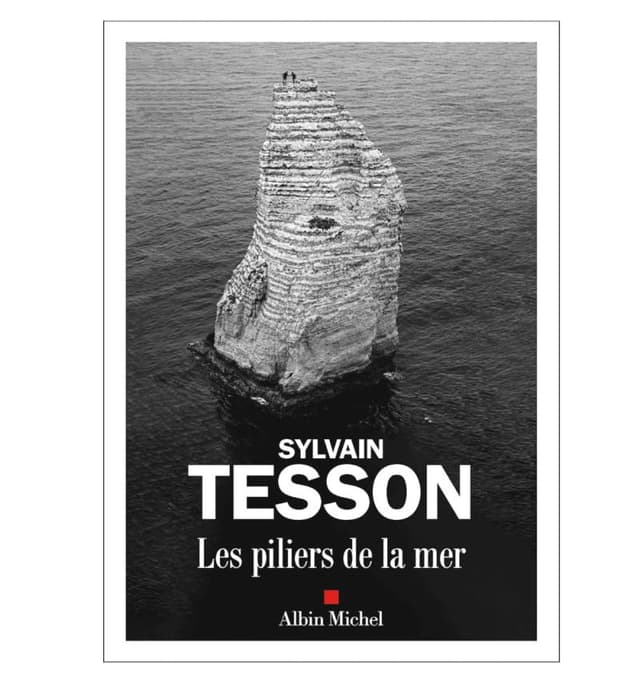 Couverture de livre en noir et blanc représentant une haute pile de pierres déchiquetées s'élevant des eaux calmes de l'océan, avec le titre « SYLVAIN TESSON Les piliers de la mer » et l'éditeur « Albin Michel » en dessous.