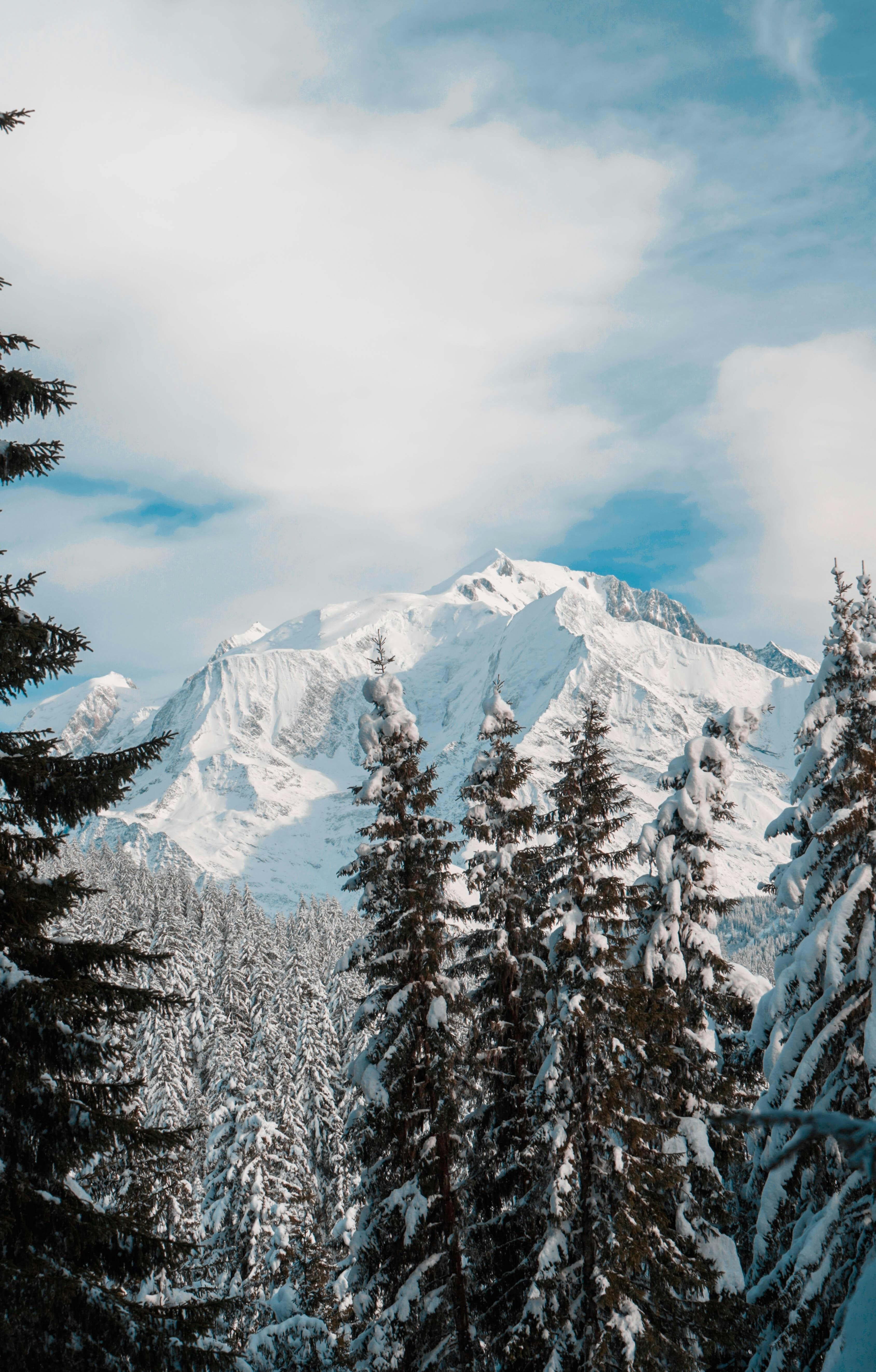 View of Mont Blanc from Combloux 