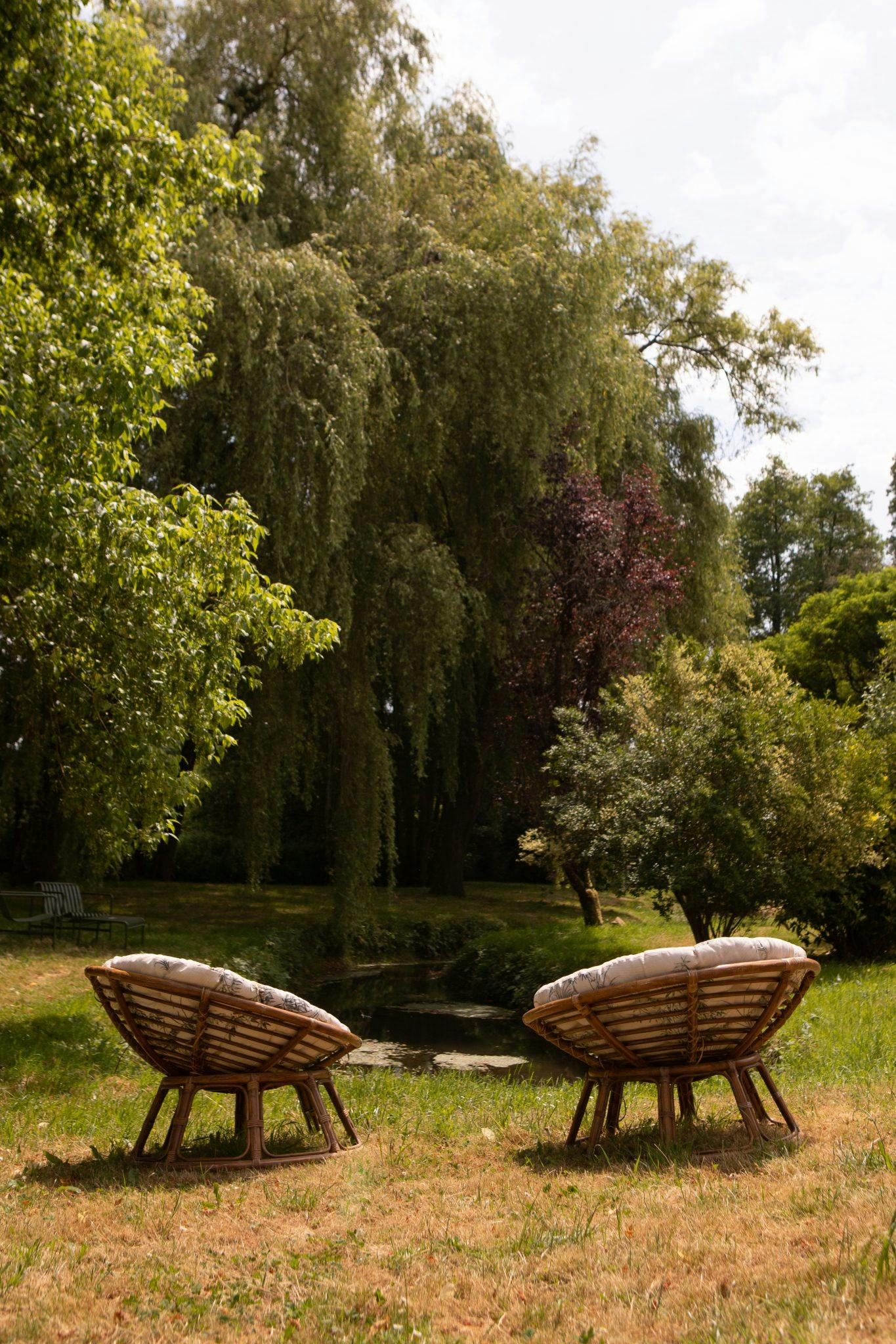 chaises au bord de la rivière avec une magnifique vue sur les arbres