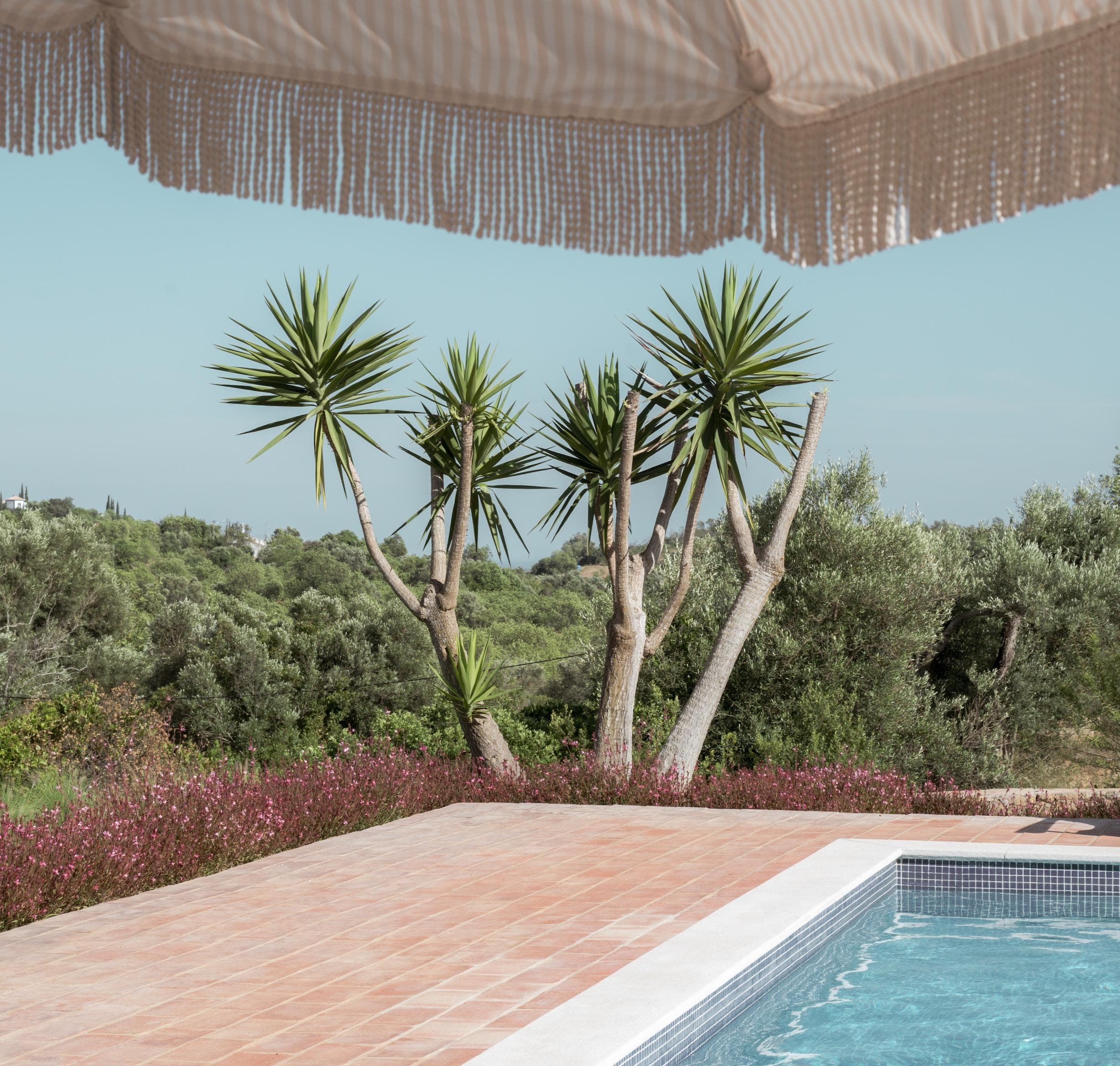 A swimming pool with a tiled deck is bordered by lush greenery and tall, spiky palm trees, partially shaded by a fringed umbrella. The background features a scenic landscape of trees and blue sky.