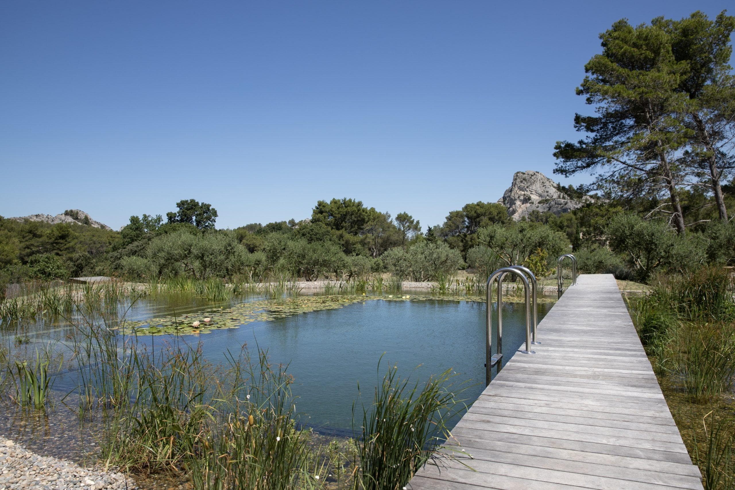 Une piscine naturelle avec vue sur les Alpilles au Mas de Cinq Sous.