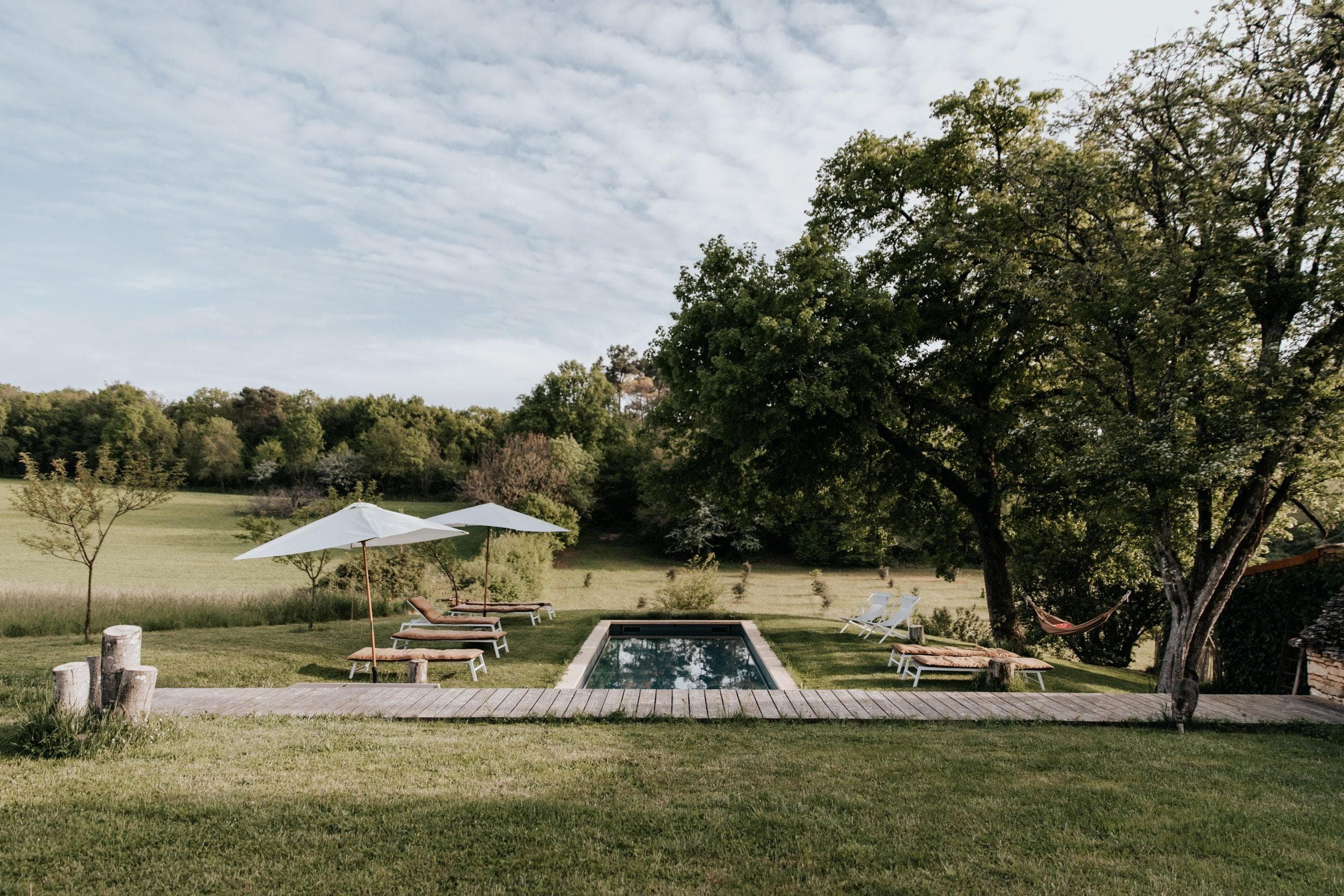La piscine dans le jardin : pelouse, arbres, parasols