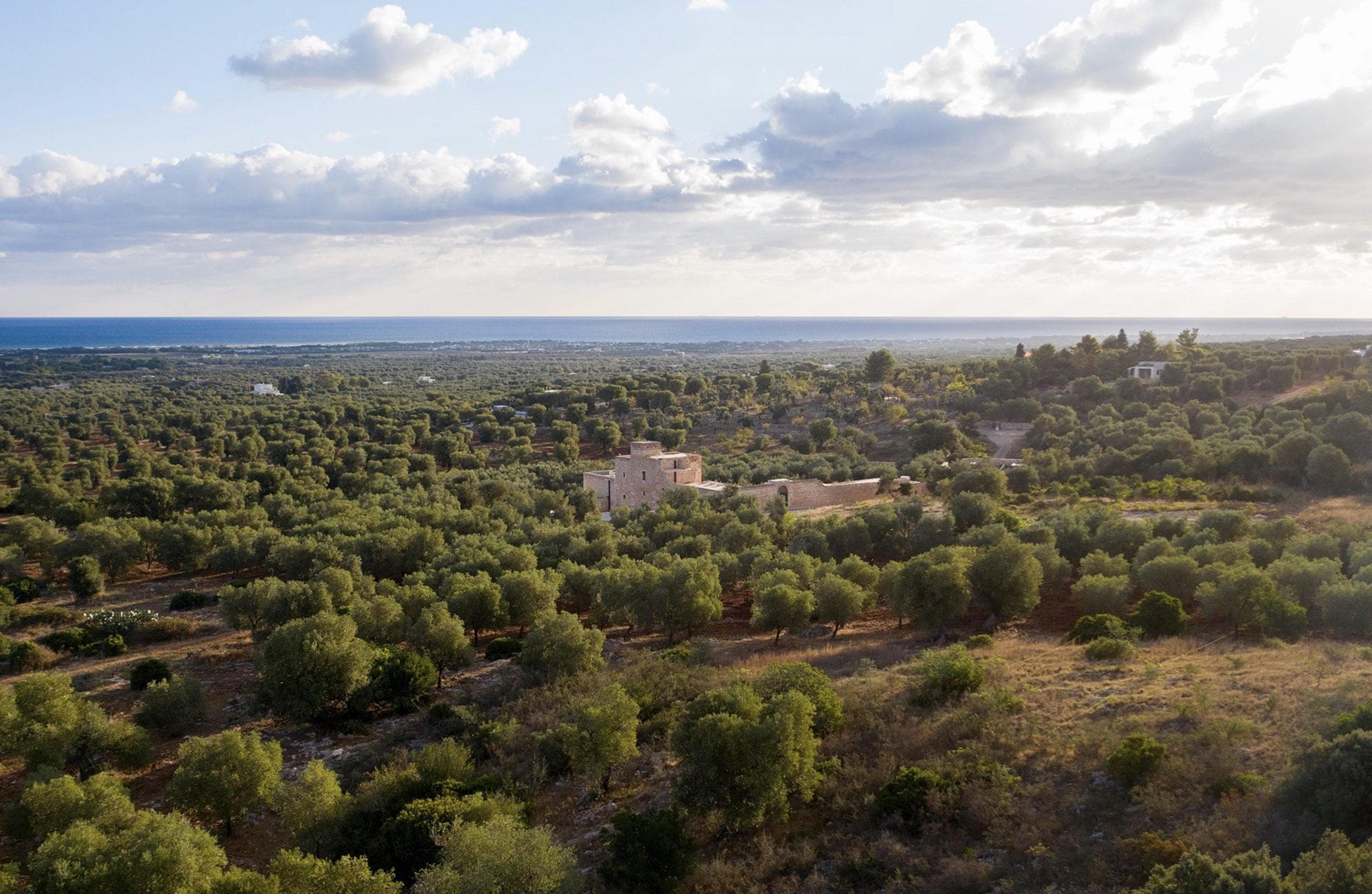 Masseria Belvedere au cœur d'une vaste oliveraie.