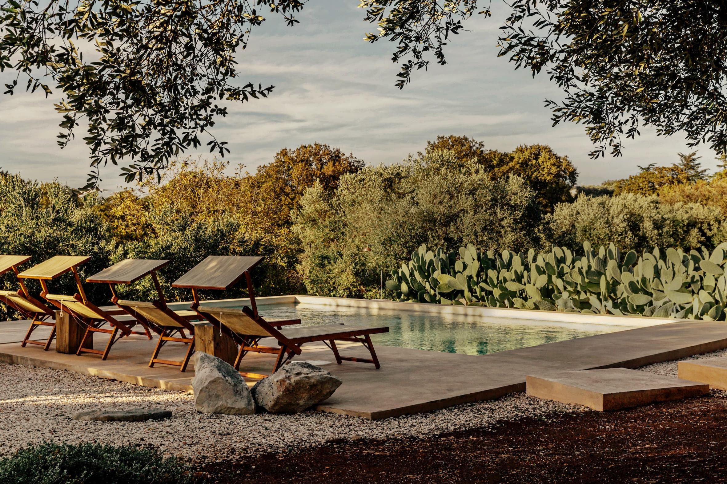 La piscine nichée au milieu des oliviers de Villa Itria. © Alex Reyto