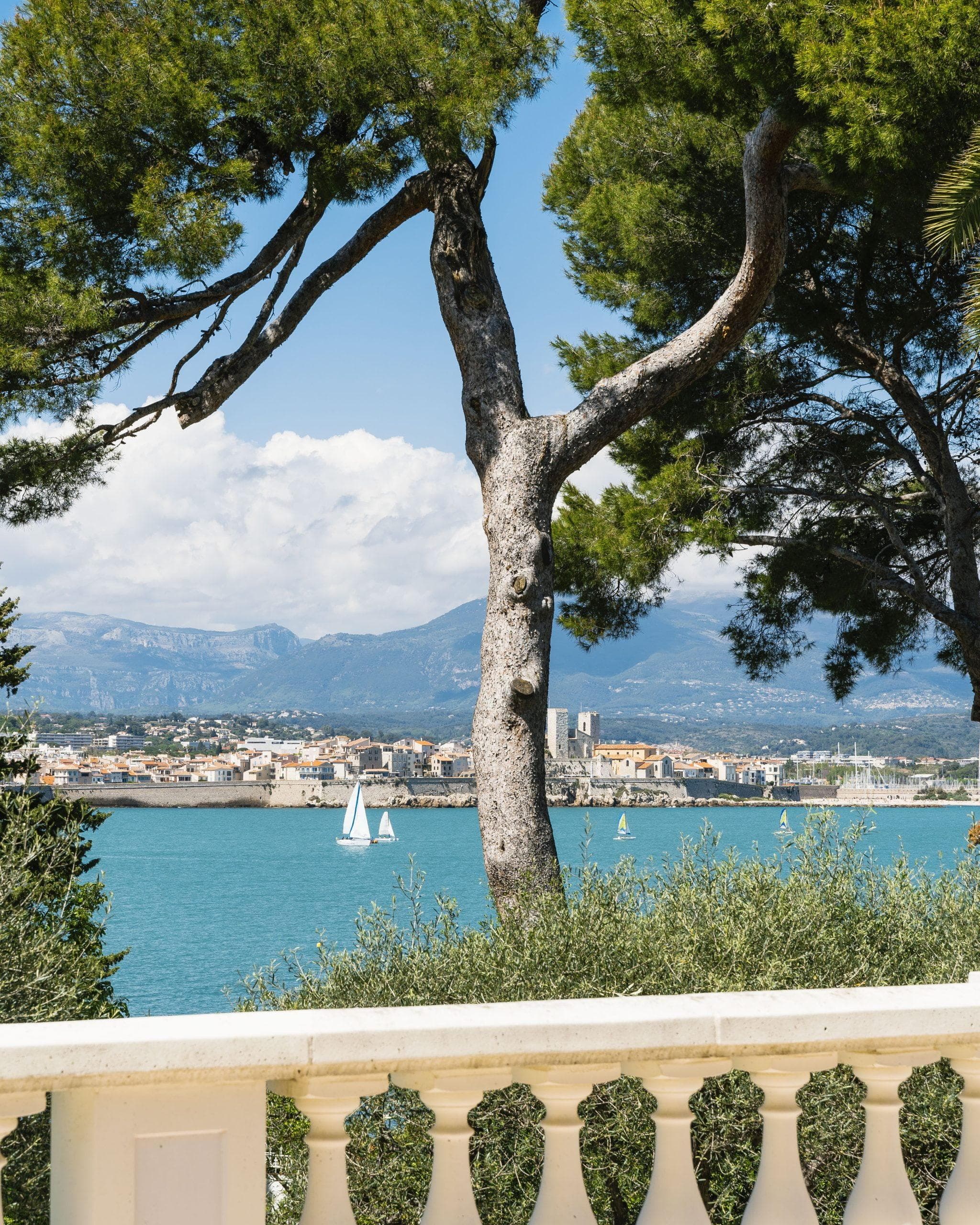 vue depuis la terrasse de la ville : la mer et le port