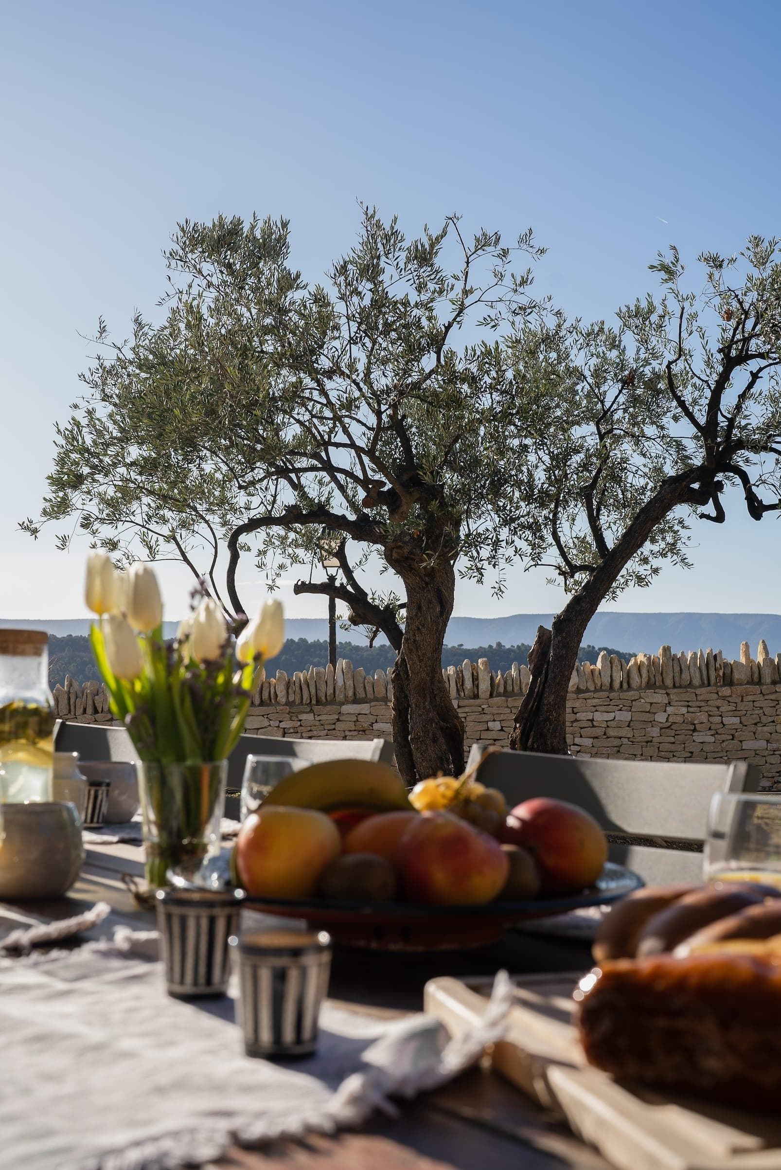 La terrasse avec vue de Villa AVA.