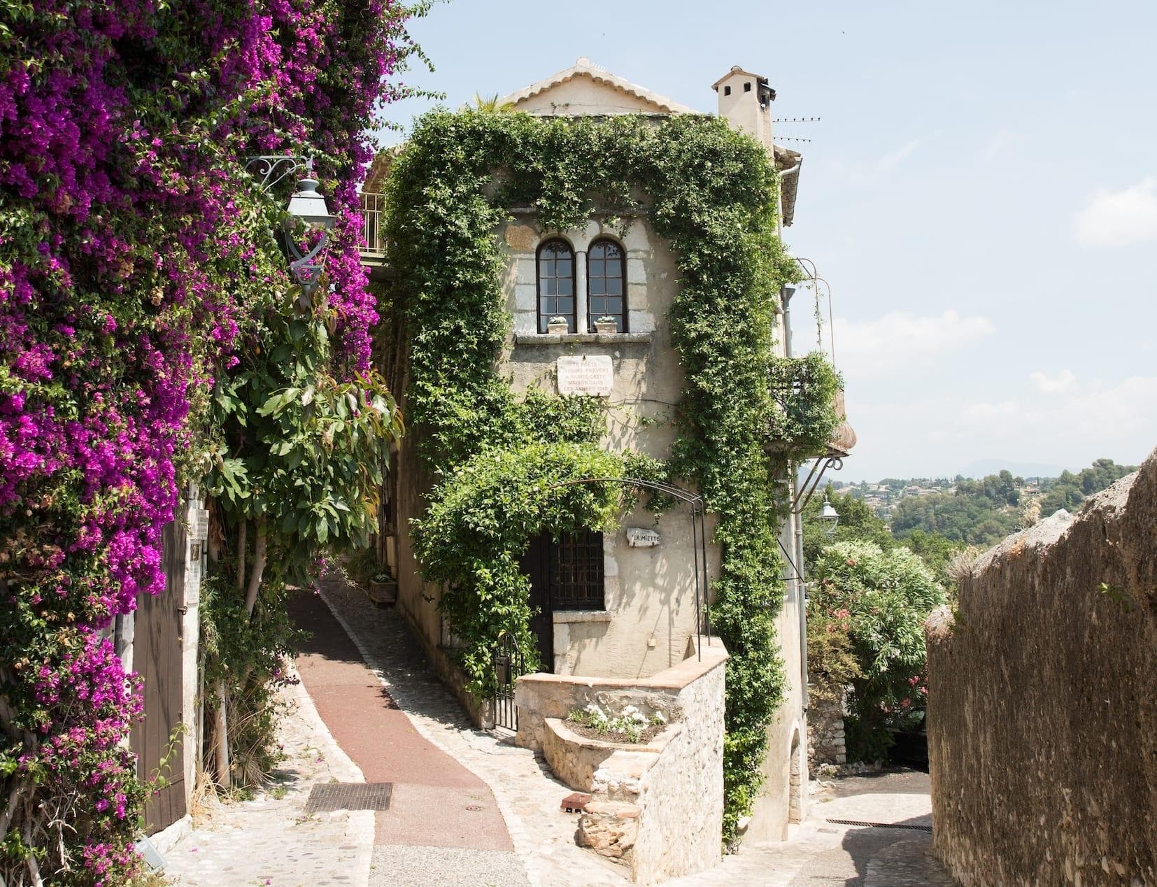 Une rue étroite et pittoresque dans une charmante cité médiévale de France est bordée d'un chemin de pierre. Une charmante maison sur la droite est couverte de vignes vertes, tandis que des fleurs violettes éclatantes ornent la gauche. La vue s'ouvre sur un paysage lointain sous un ciel clair.