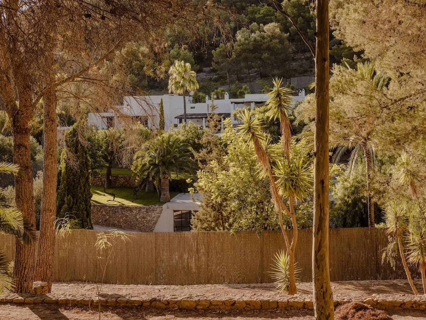 Les bâtiments blancs modernes se fondent dans un paysage luxuriant rempli d'arbres variés et de verdure, sur fond de collines. Le paysage est tranquille, avec une douce lumière du soleil filtrant à travers les arbres.