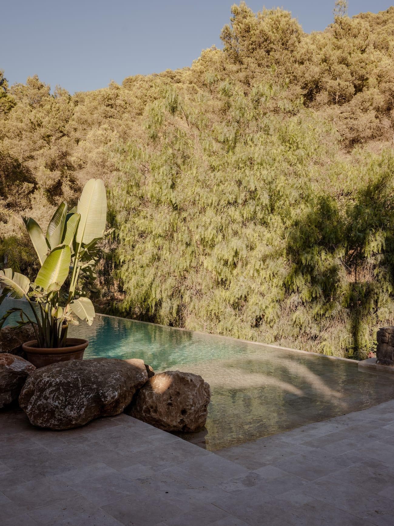 The pool at Can Nikita, hidden among the trees. © Ariadna Puigdomenech