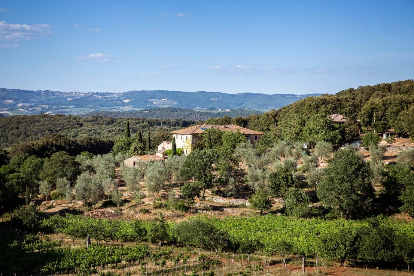 Tuscan countryside with a rustic farmhouse surrounded by olive groves and greenery. In the background, rolling hills and distant mountains under a clear blue sky.