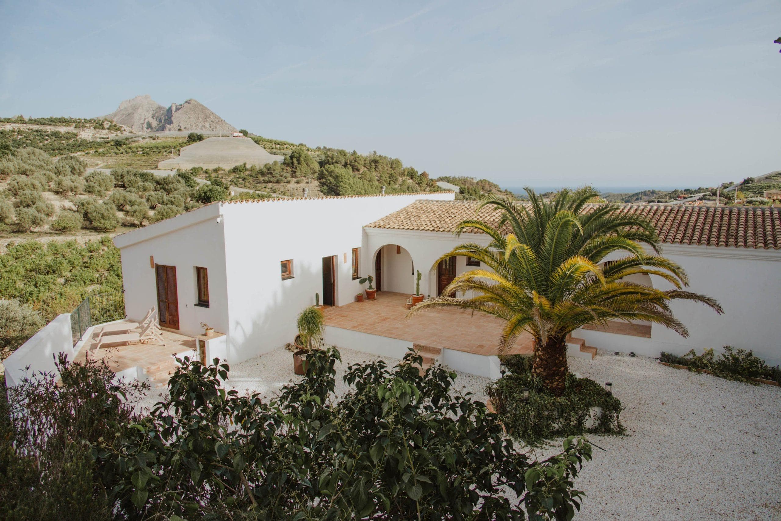 A white Mediterranean-style house with a terracotta roof stands in a lush landscape. A large palm tree stands in the foreground, and mountains are visible in the background. The sky is clear and blue.