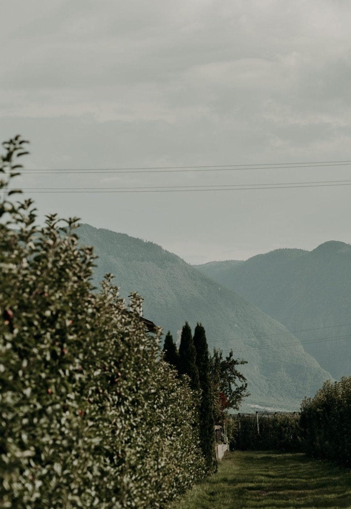 The Alps surrounding Mirror Houses.
