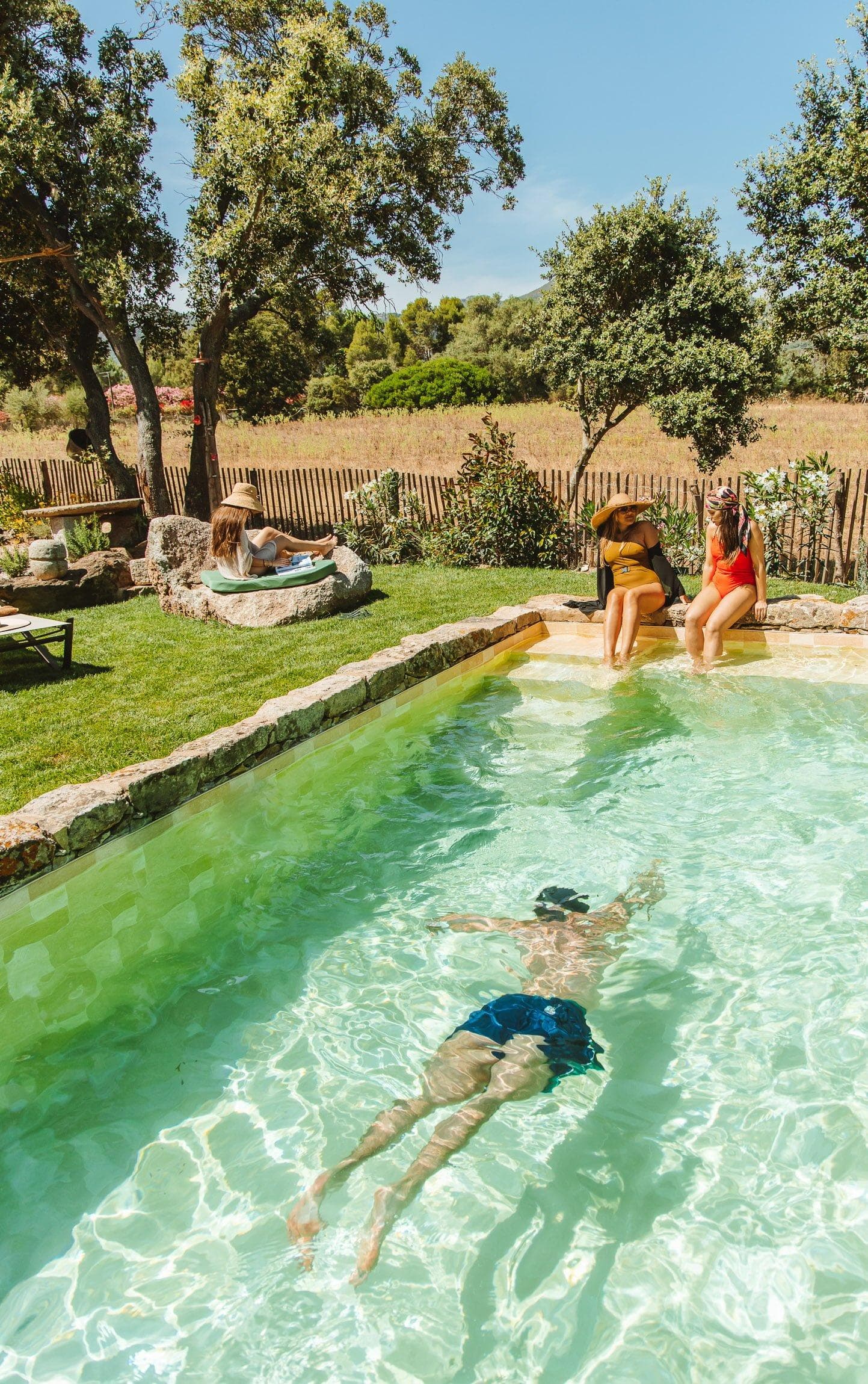 Swimming pool with meadow view!