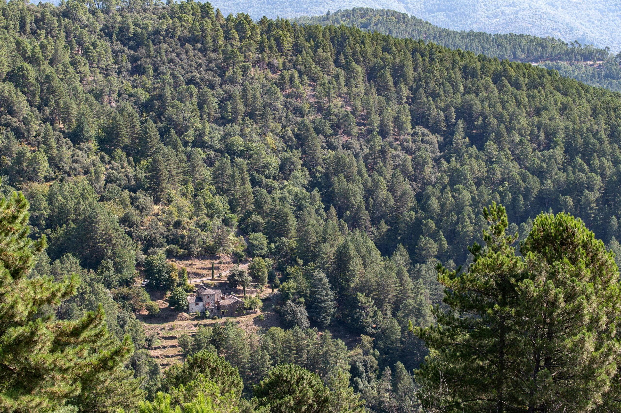 A green setting where you can spend all your time.
