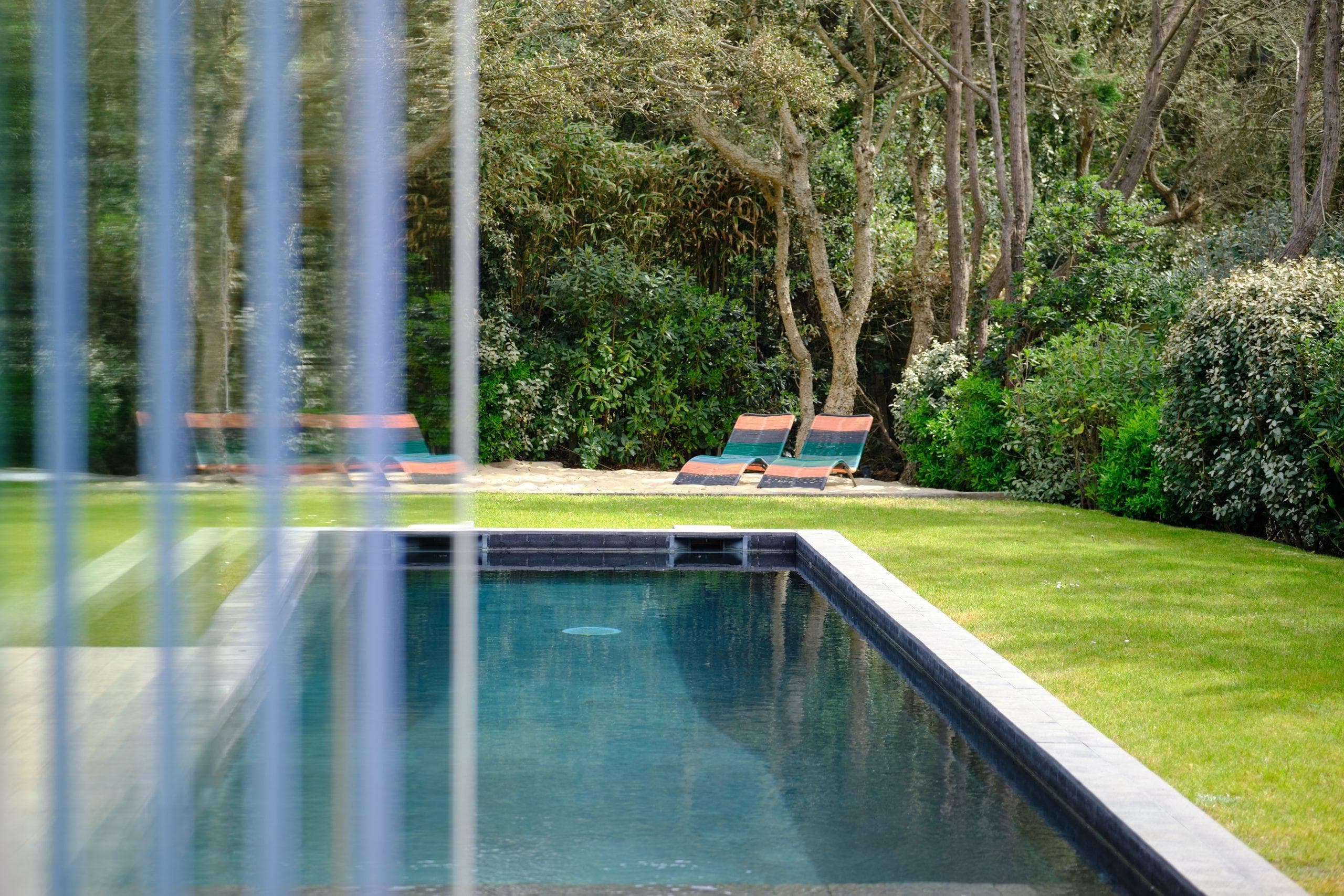 The unsuspected garden!