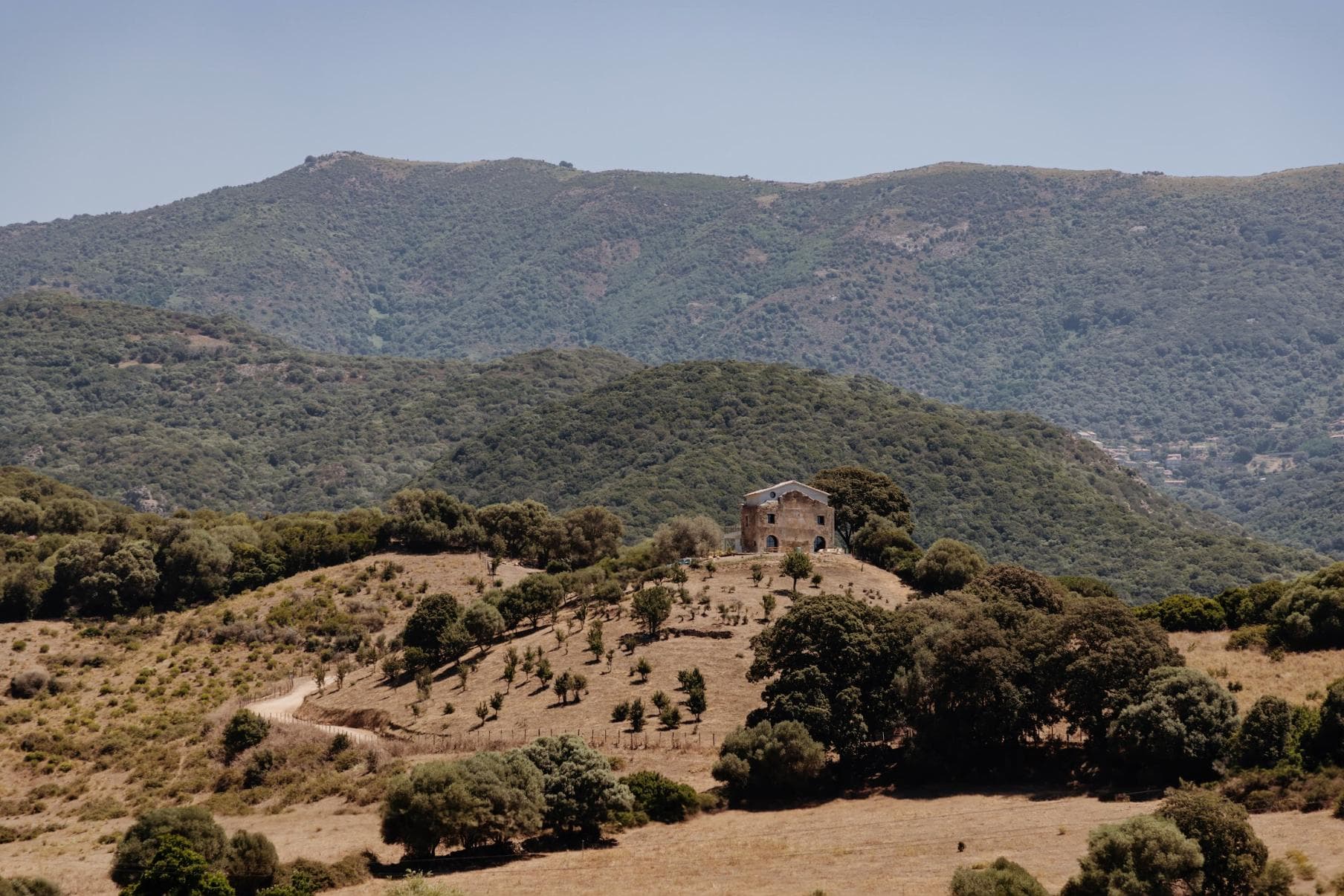 U Mulinu Casanelli, perché sur sa colline. © Sylvain Alessandri