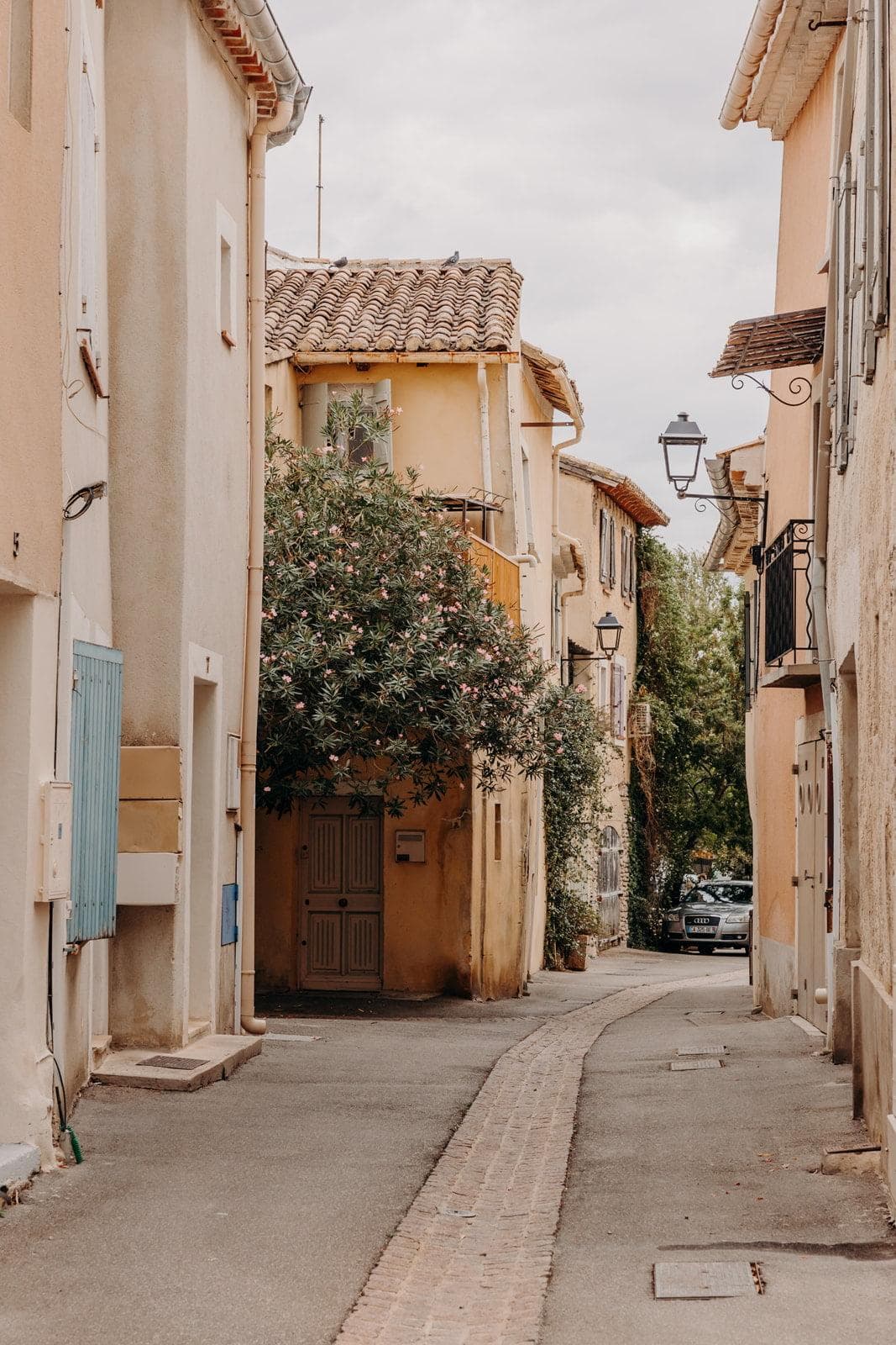 Les ruelles aux couleurs chaudes de L’Isle-sur-la-Sorgue et le laurier rose que l’on aperçoit depuis la maison.