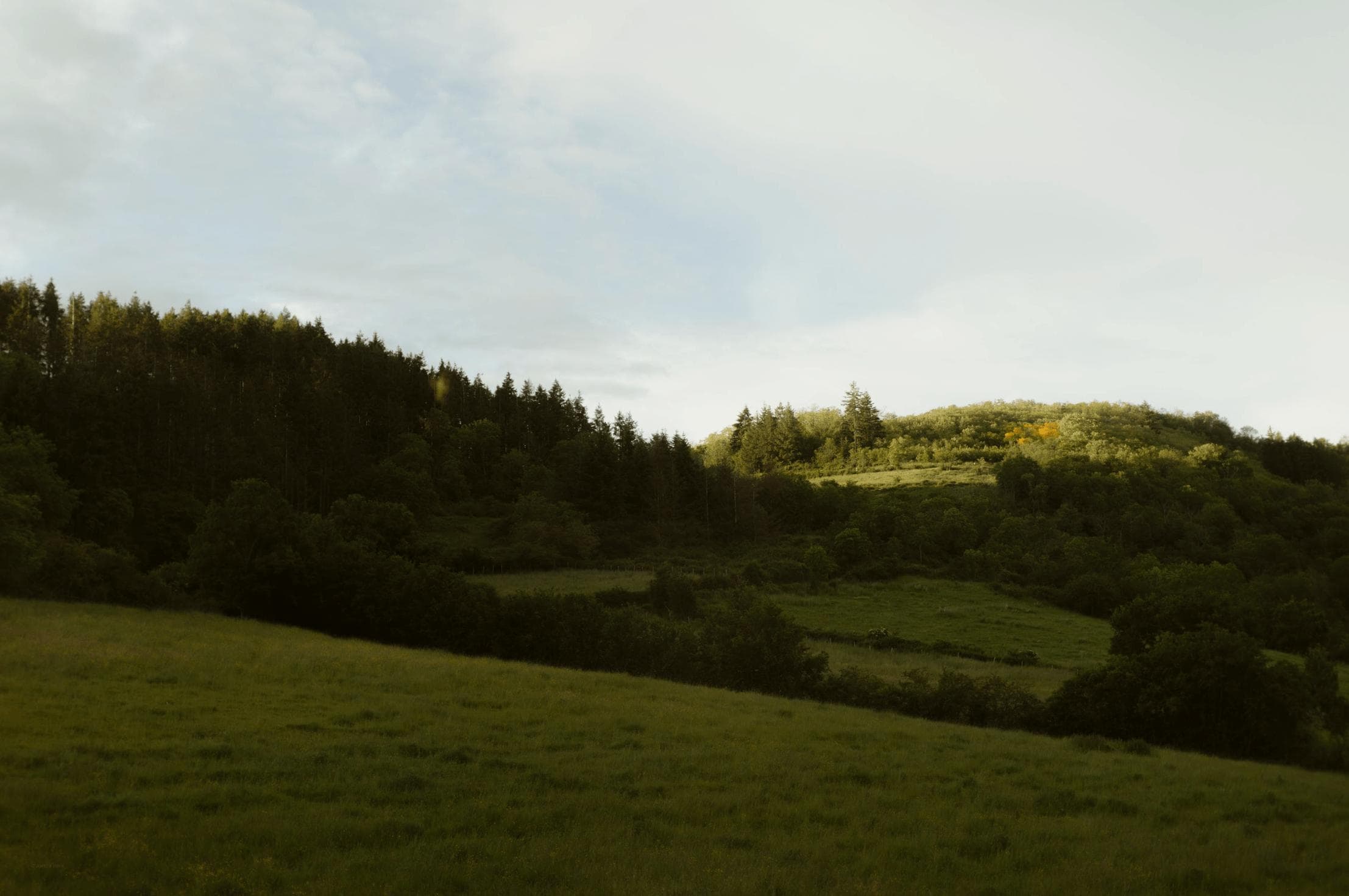 Un paysage pittoresque de carte postale, bienvenue aux Noyers.