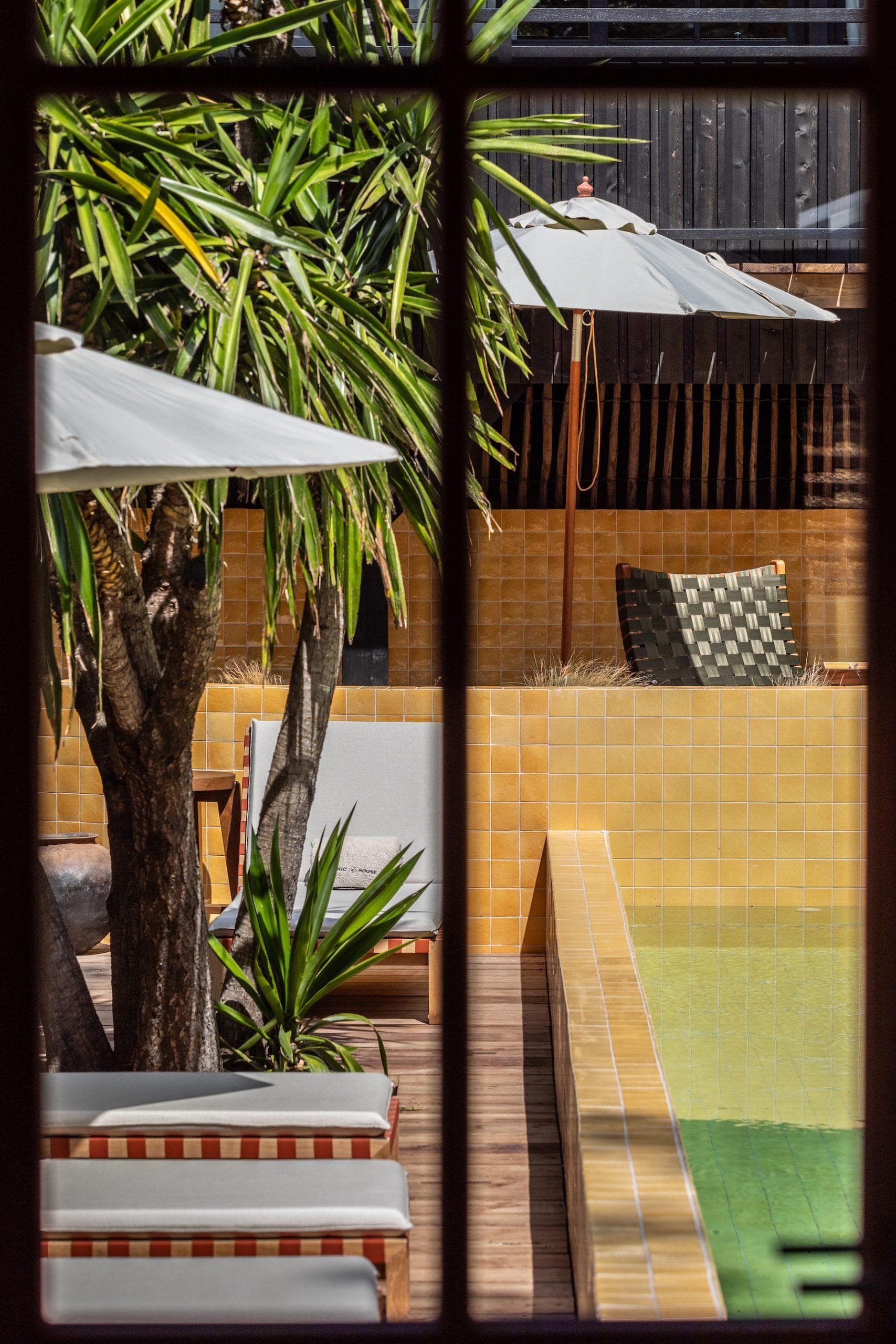 The yellow-tiled pool surrounded by palm trees. © David Loridan