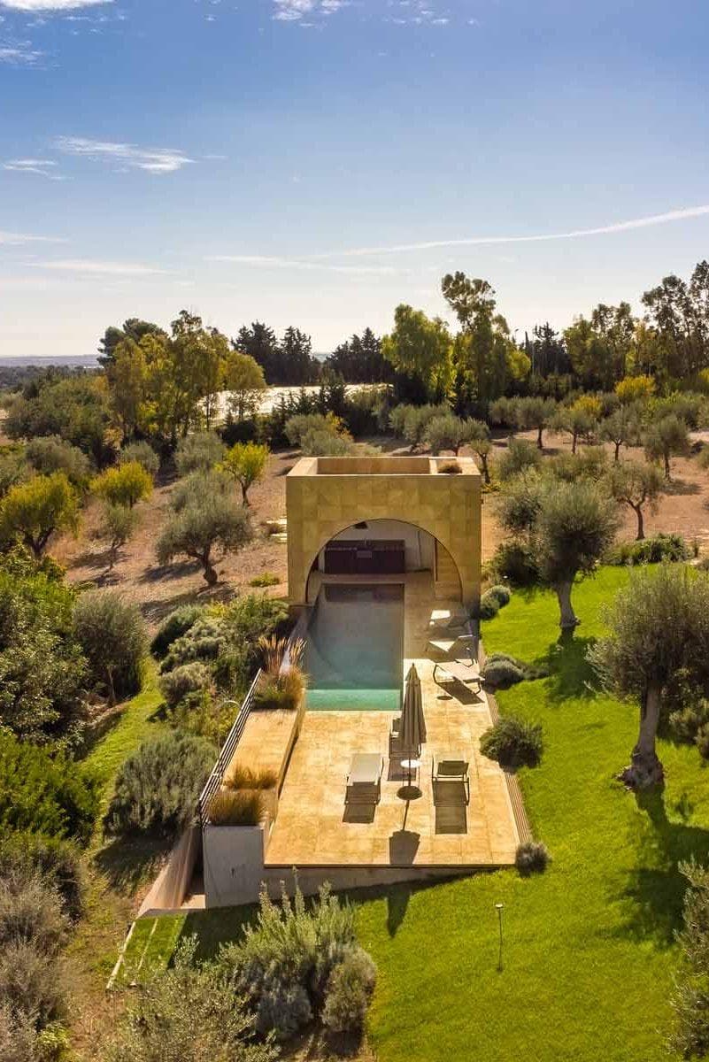 Swimming in the middle of the olive trees.