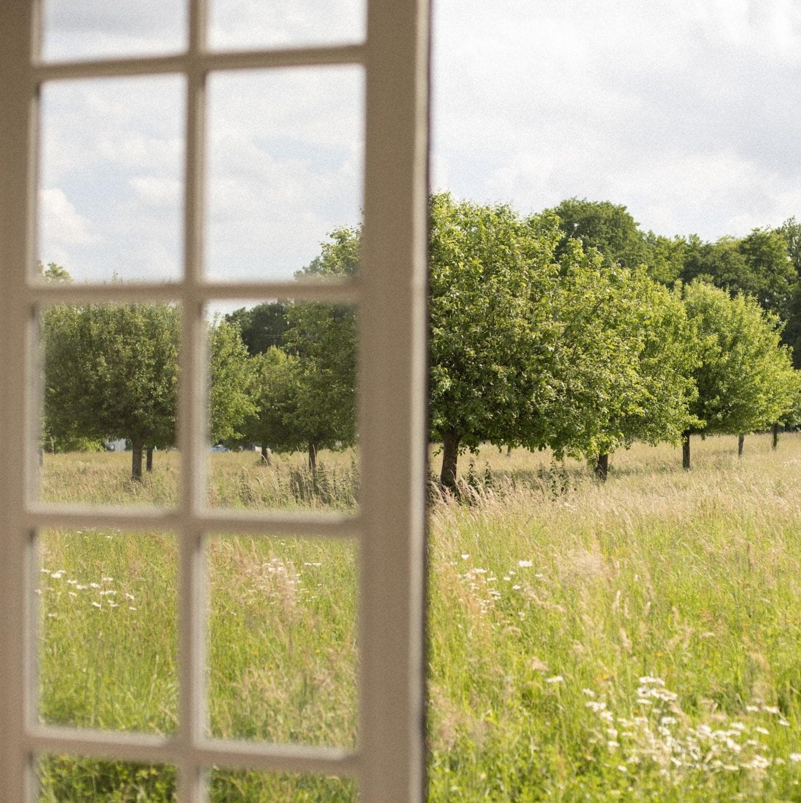 La vue sur la nature depuis chaque fenêtre. © Clothilde Redon
