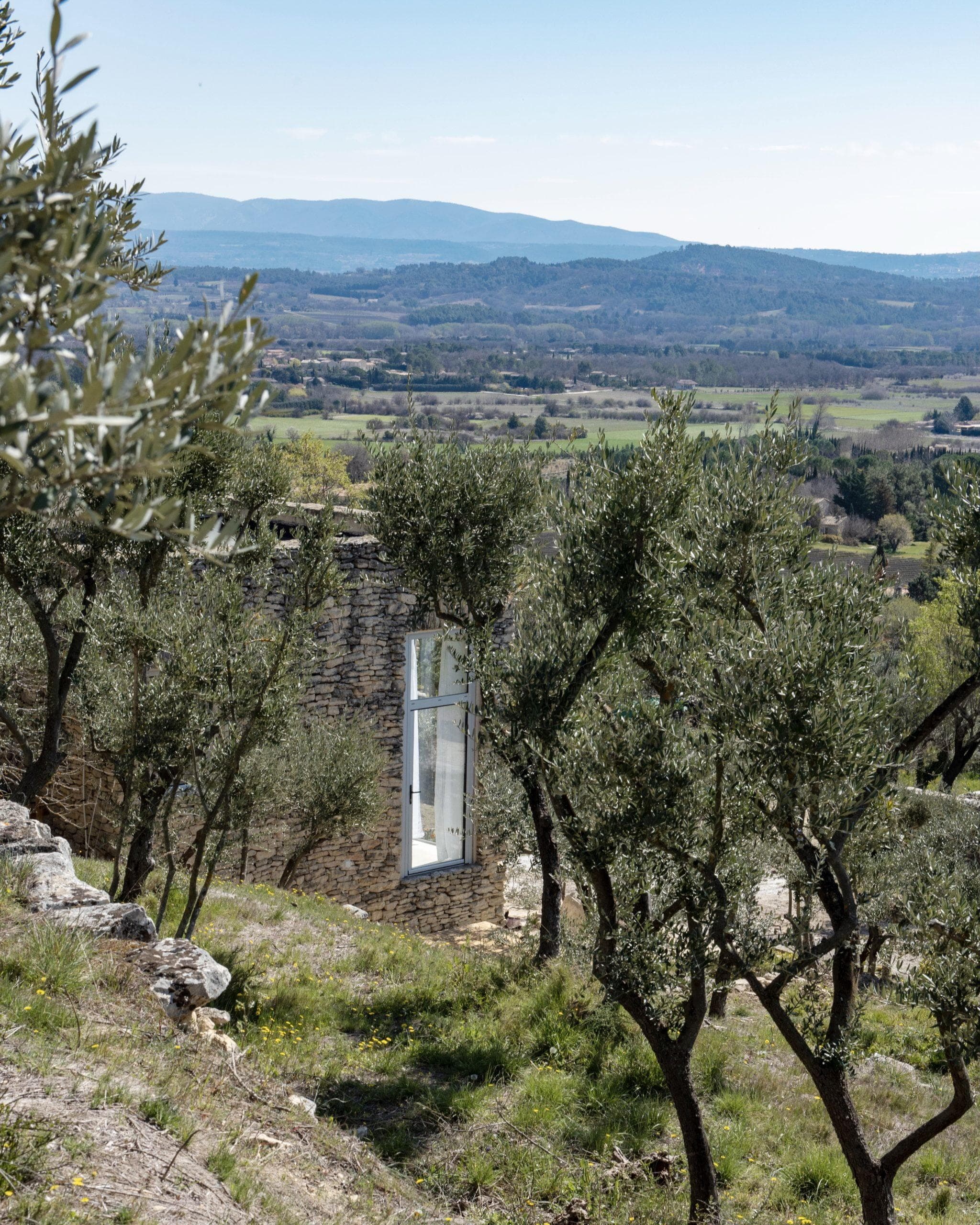 The Domaine des Milles Roches nestled in an olive grove.